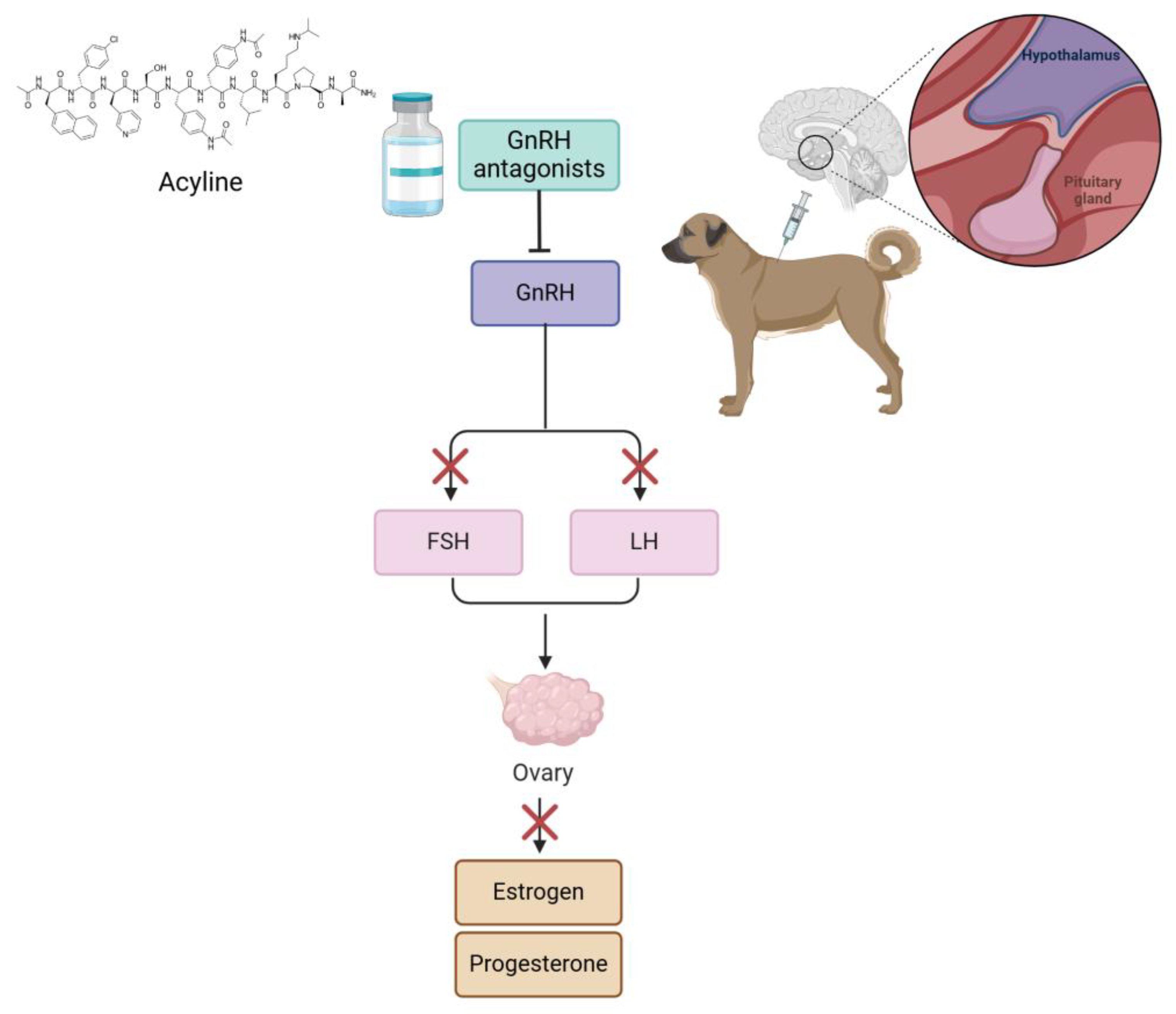 Animals 15 01501 g004 Animals 15 01501 g004