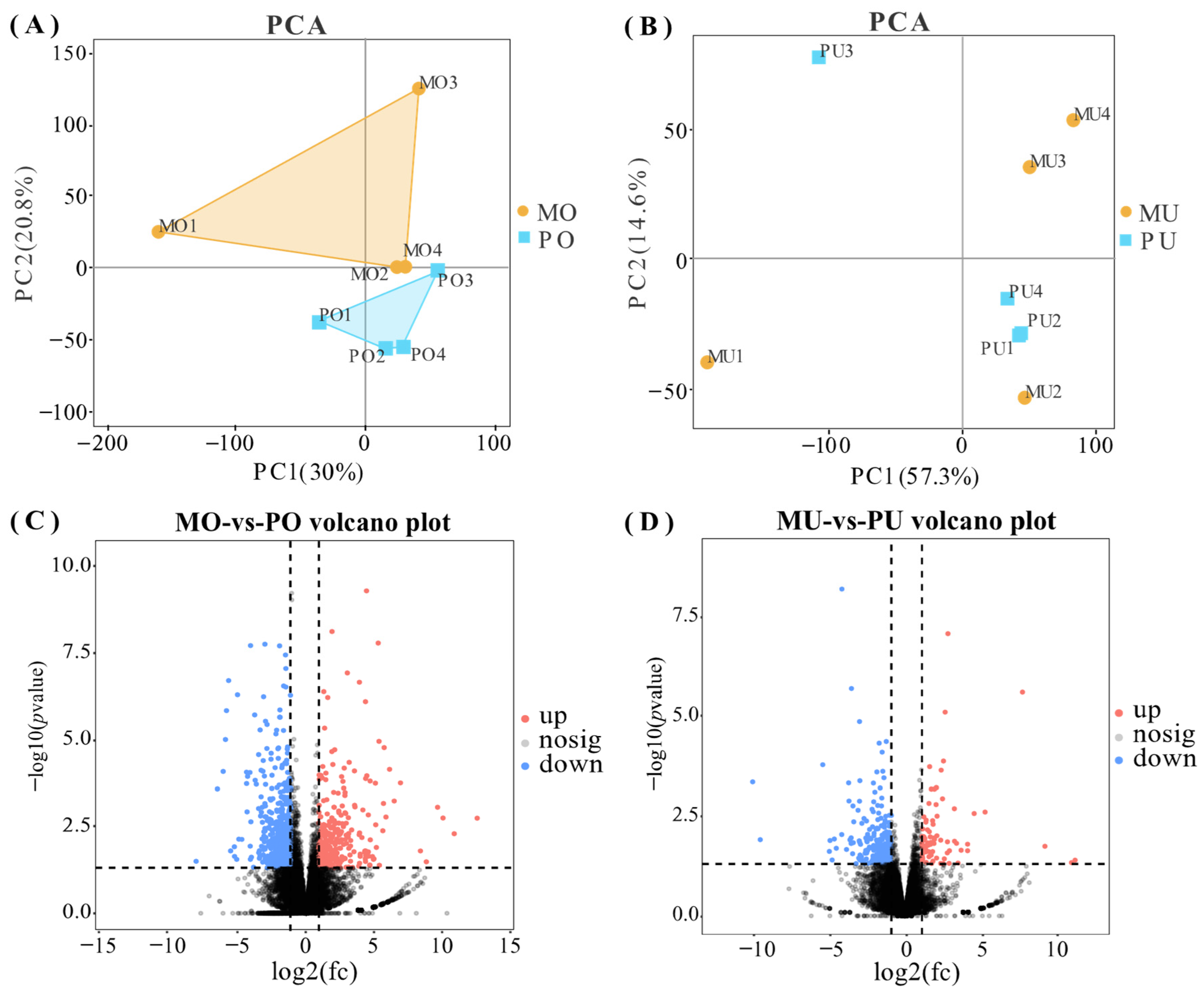 Animals 15 01505 g001