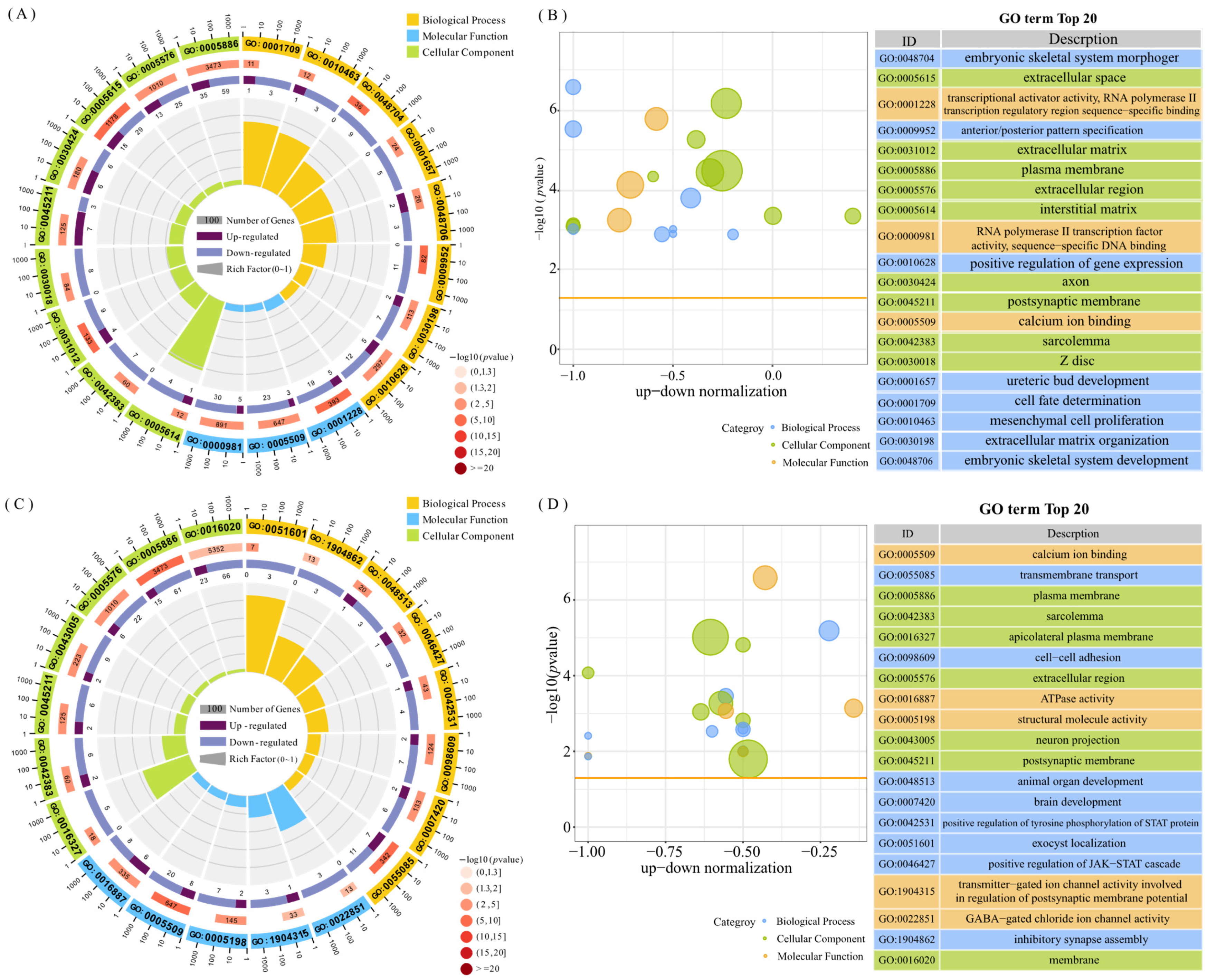 Animals 15 01505 g002