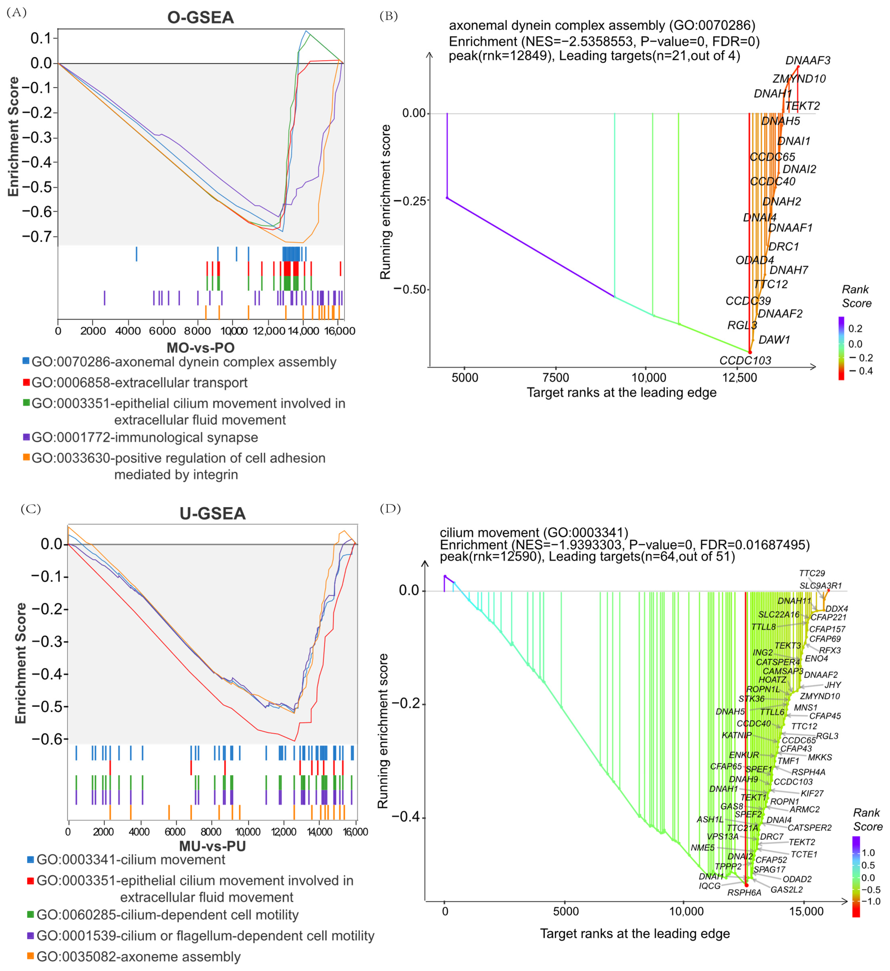 Animals 15 01505 g004
