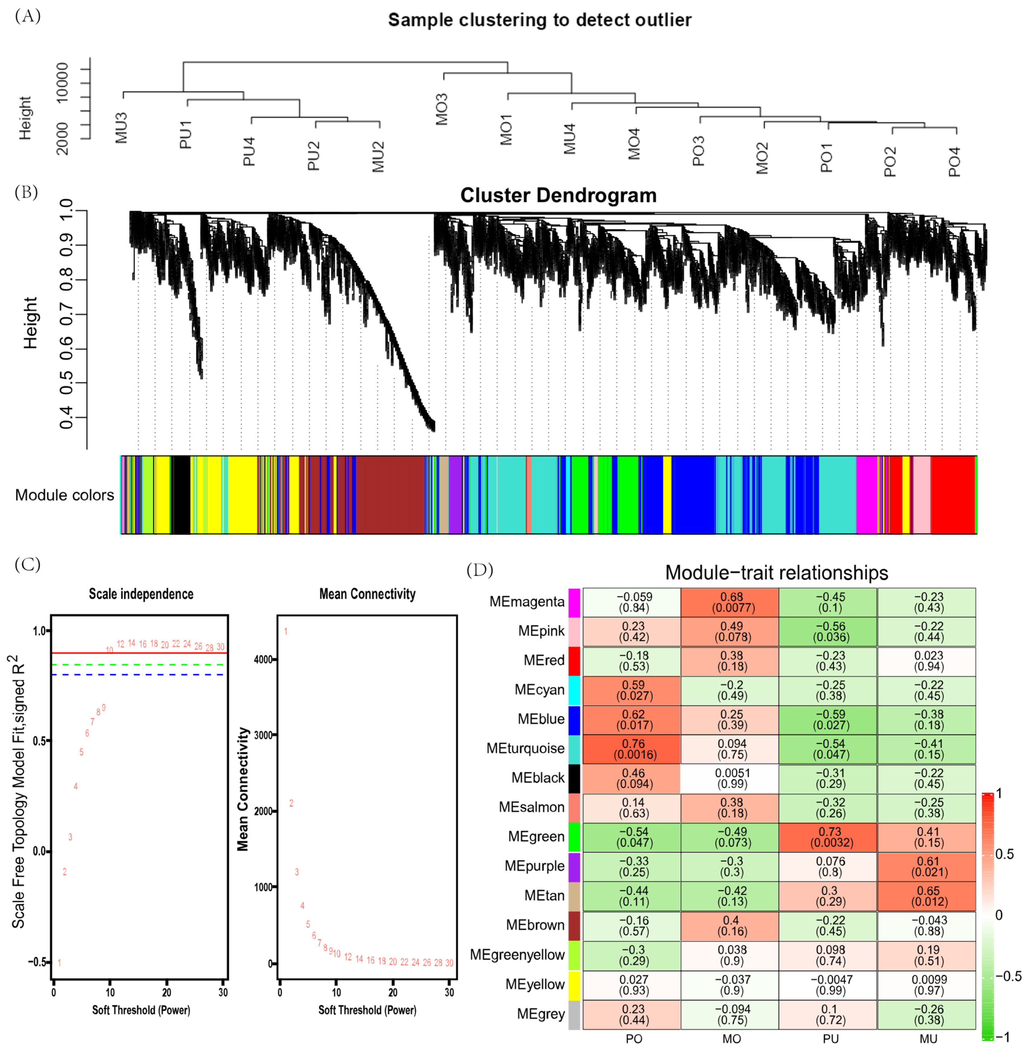 Animals 15 01505 g005