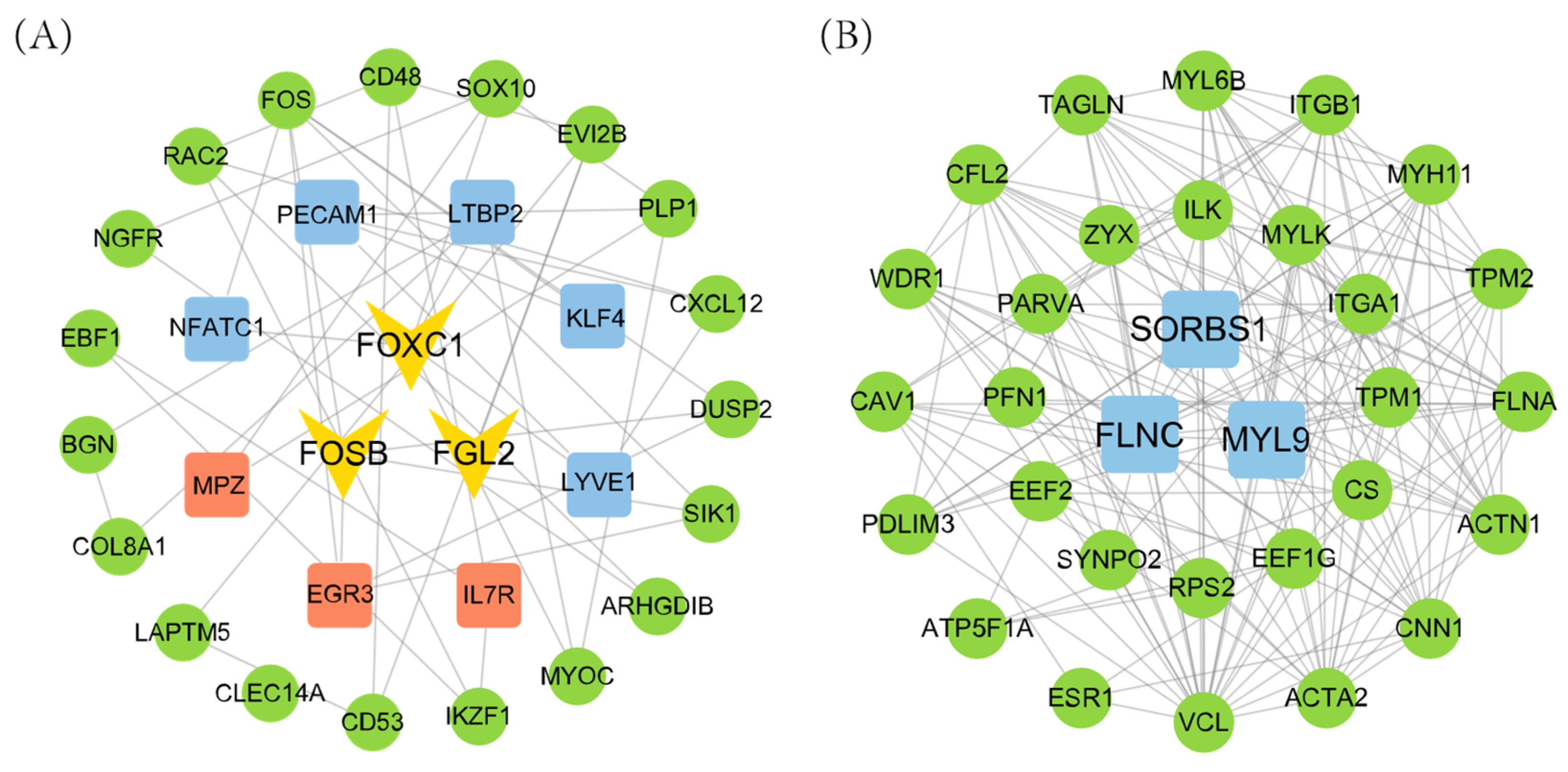 Animals 15 01505 g008