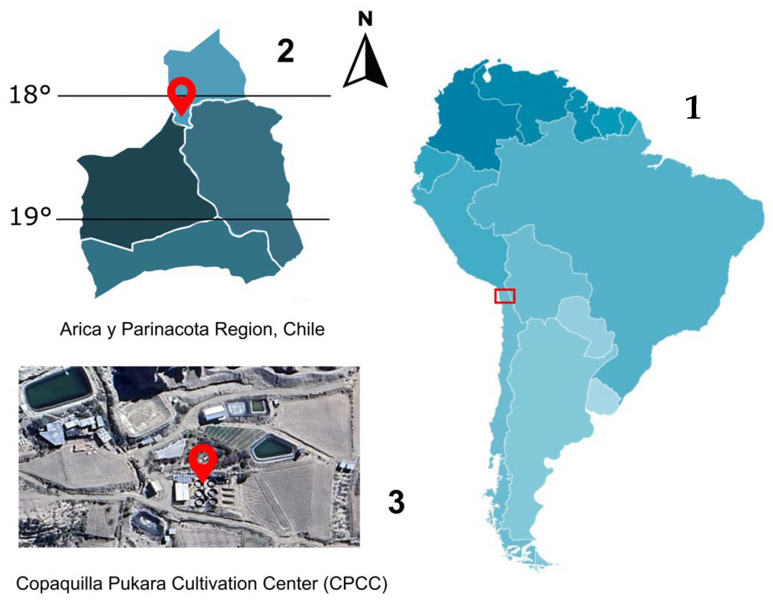 Animals 15 01506 g001