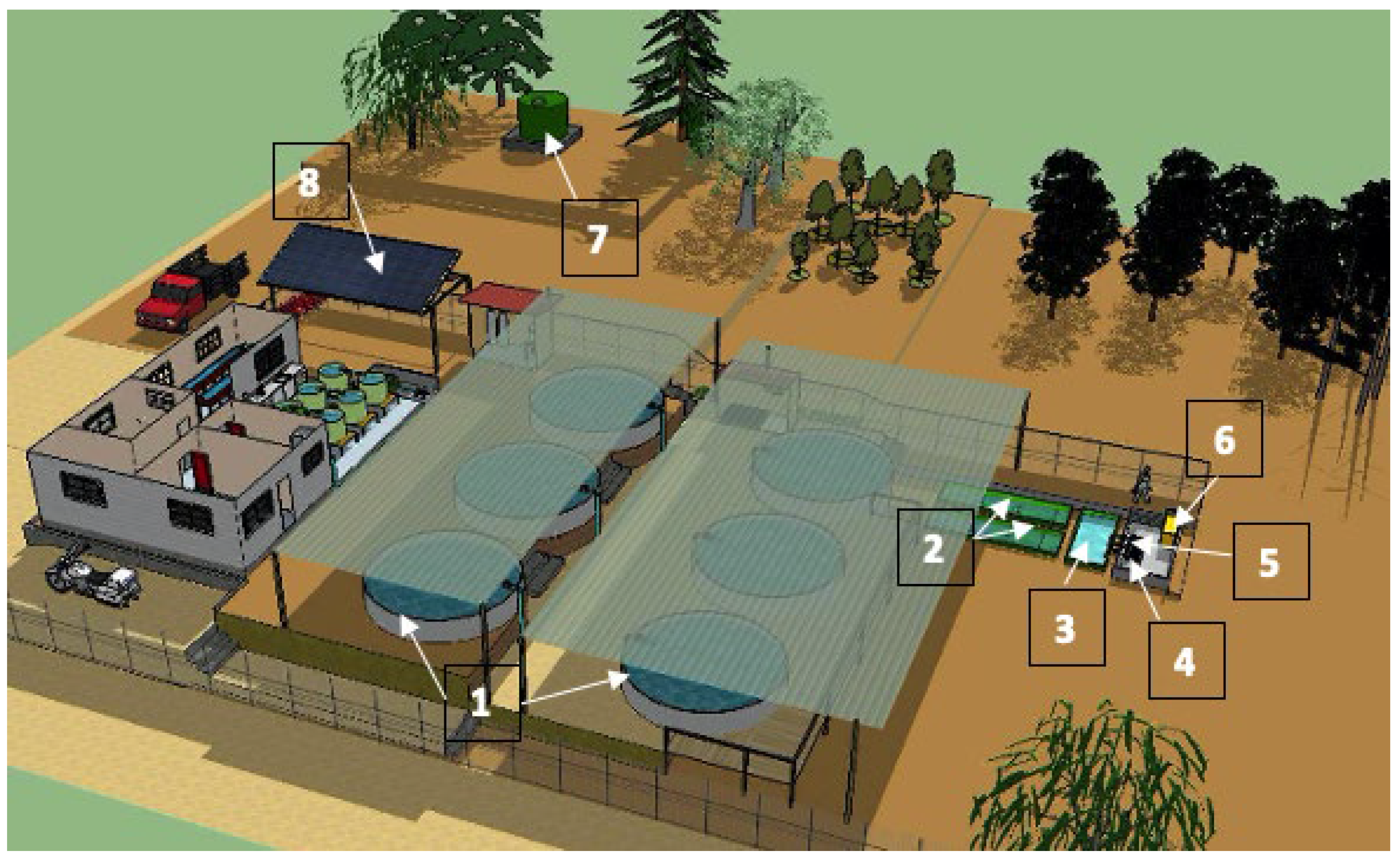 Animals 15 01506 g002