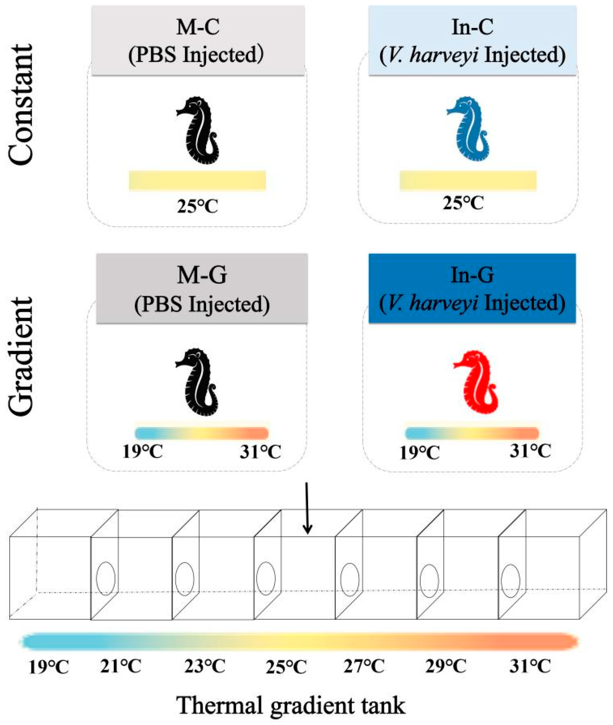 Animals 15 01509 g002