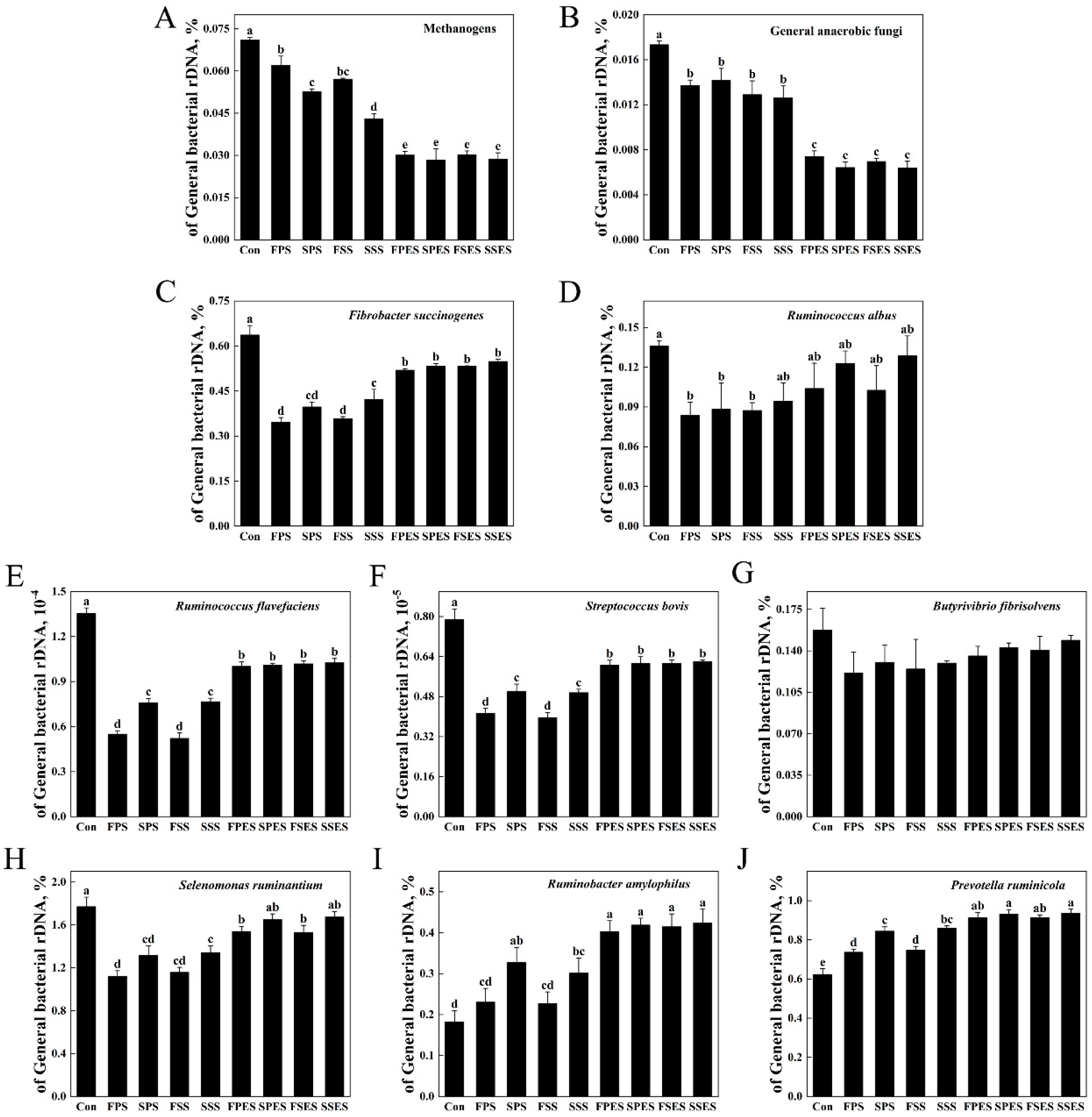 Animals 15 01516 g005