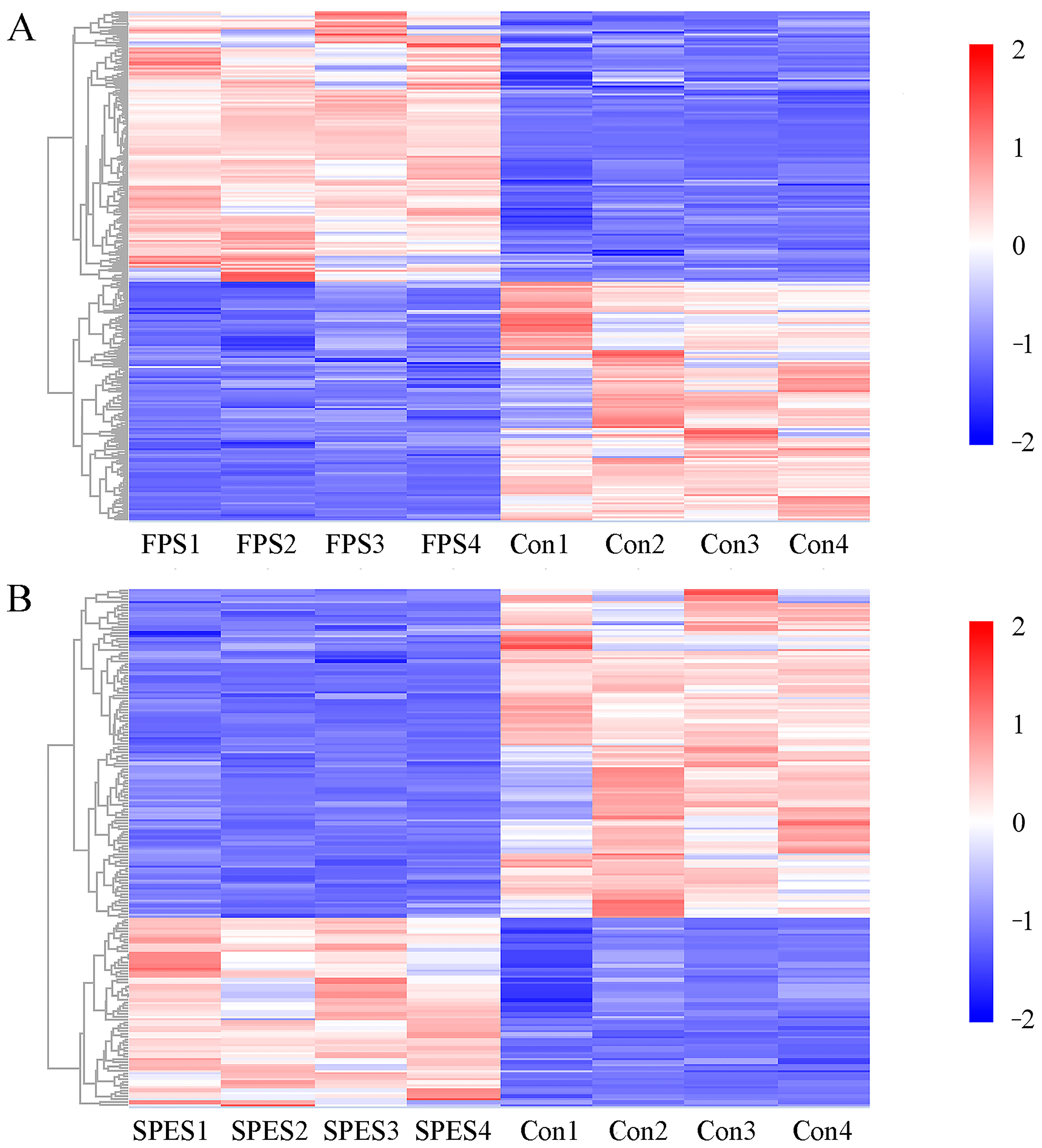 Animals 15 01516 g008