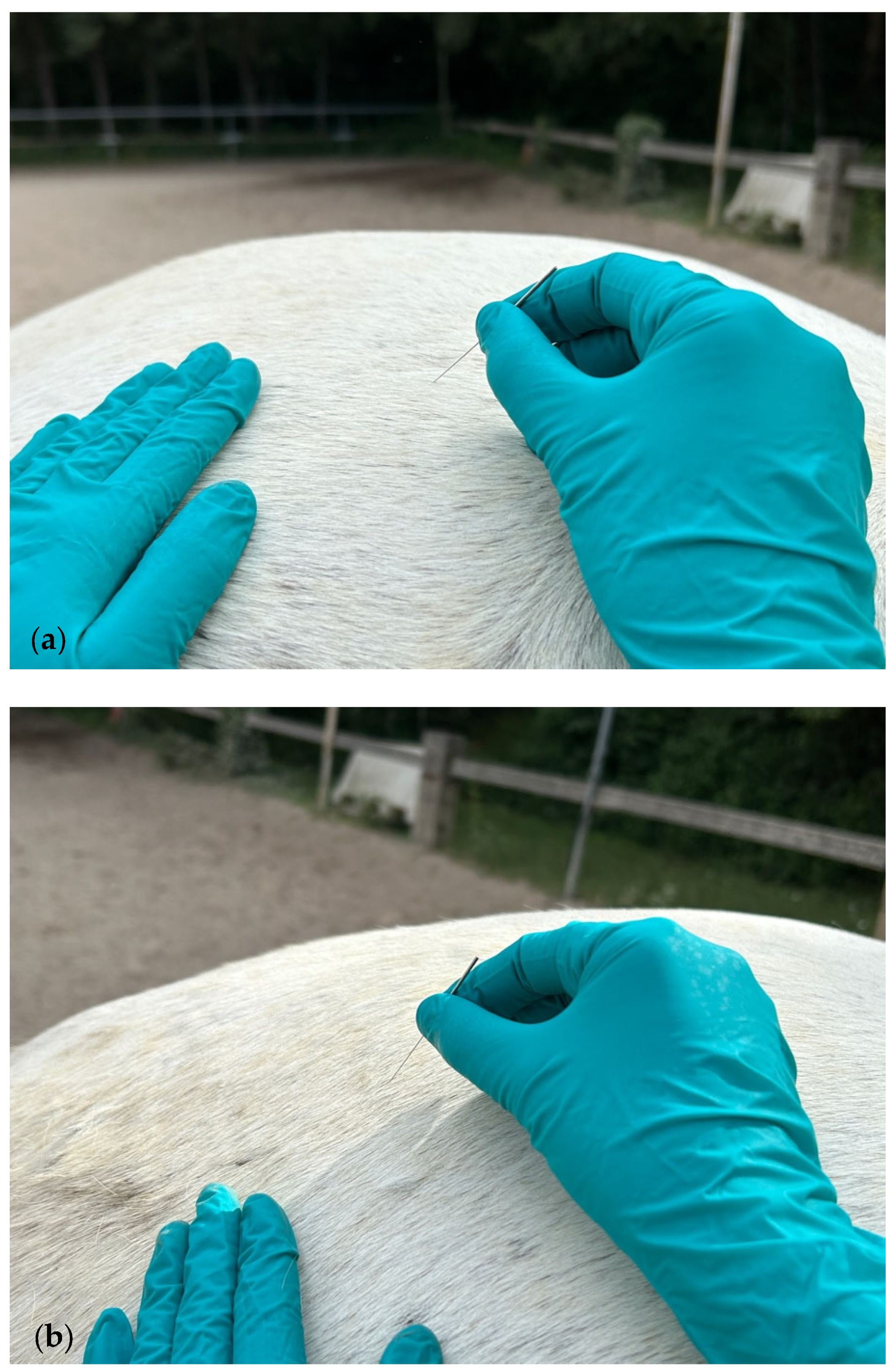 Animals 15 01517 g002