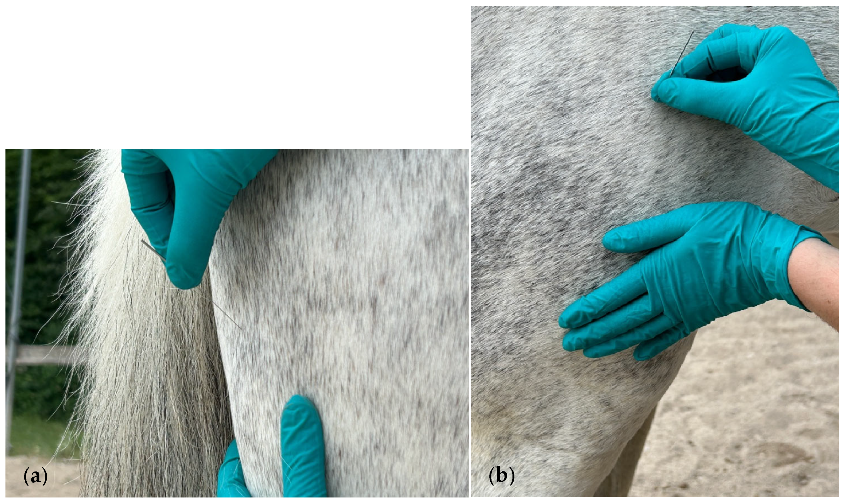 Animals 15 01517 g003