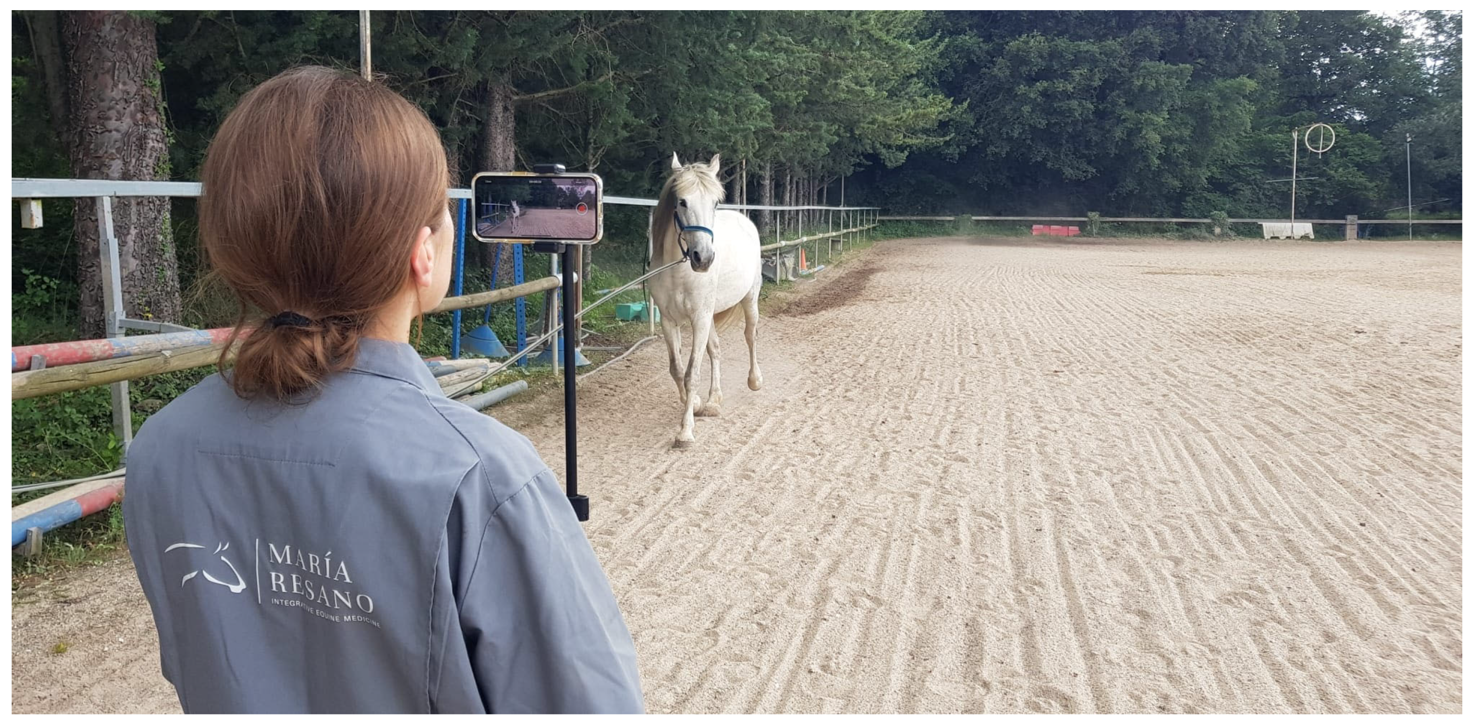 Animals 15 01517 g004