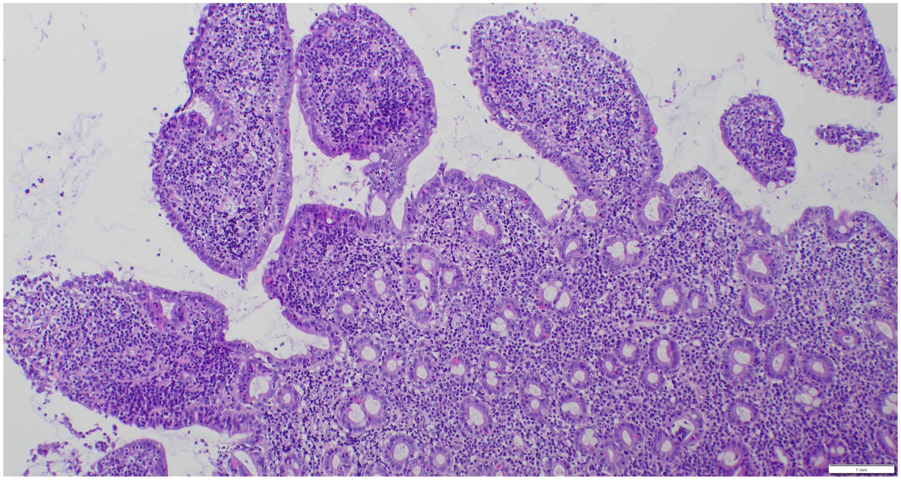 Animals 15 01518 g003