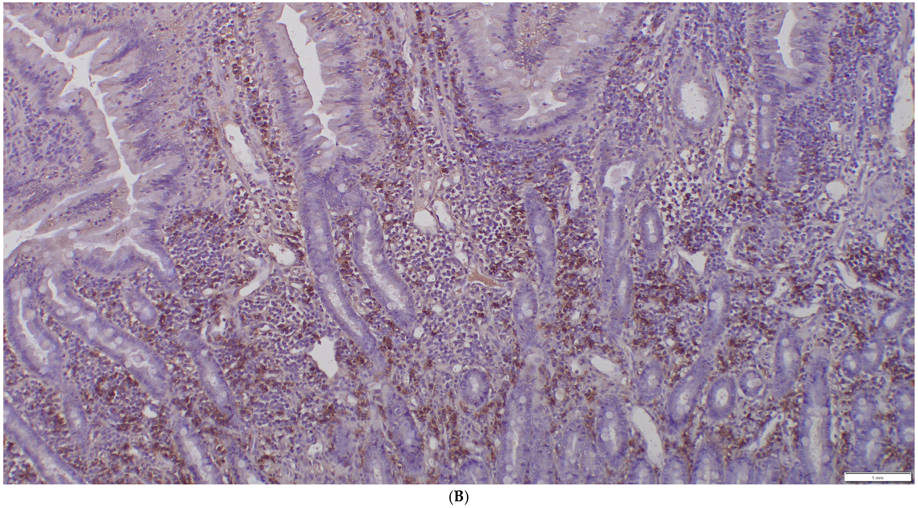 Animals 15 01518 g005b