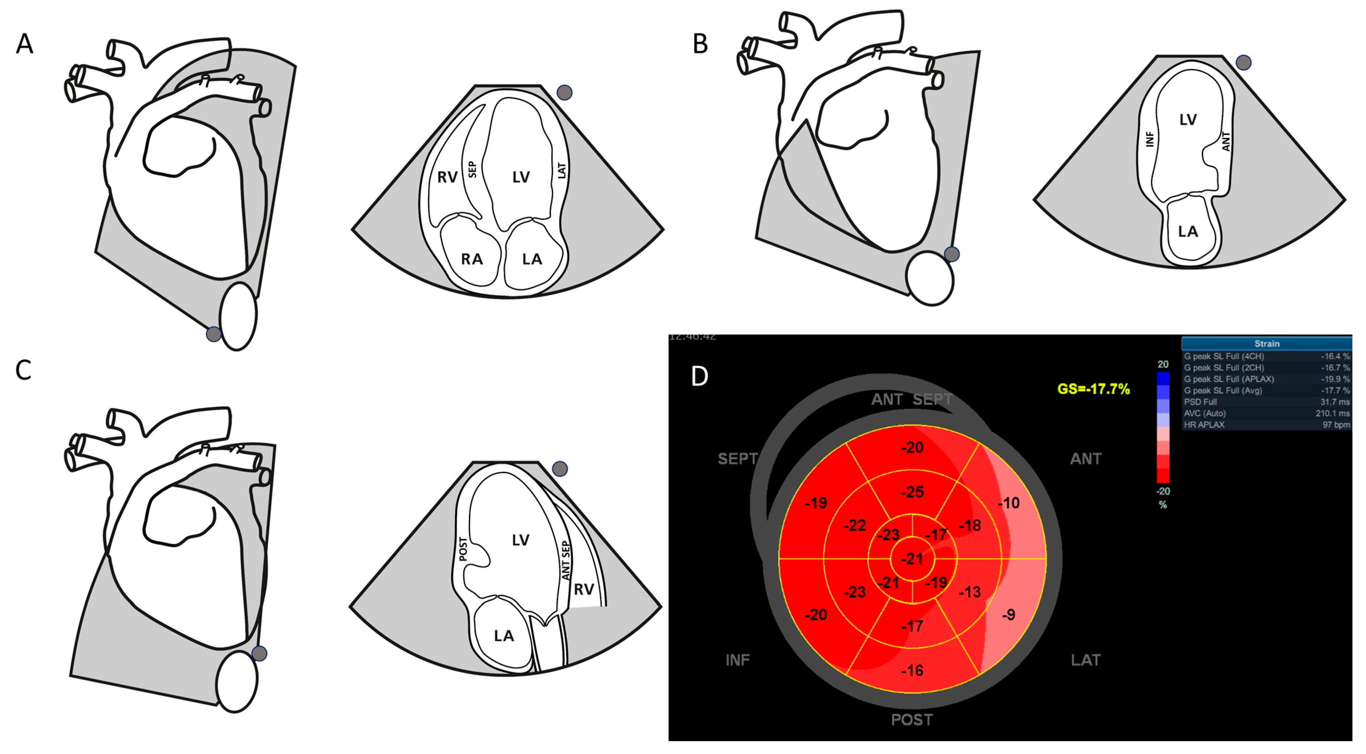 Animals 15 01523 g001