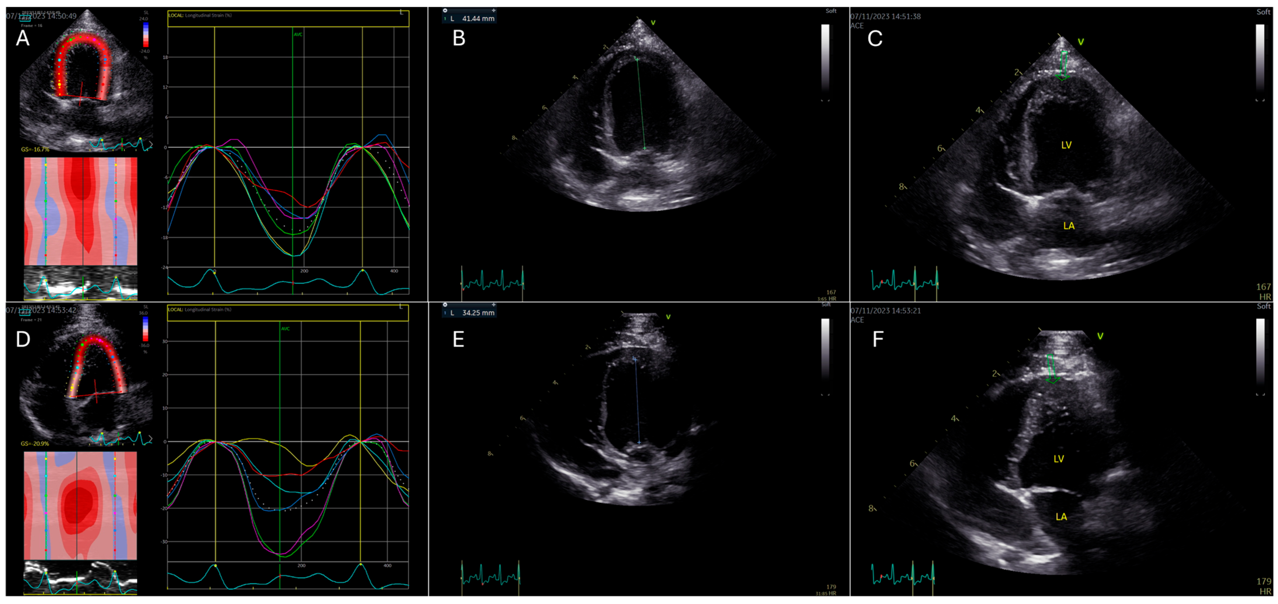 Animals 15 01523 g002