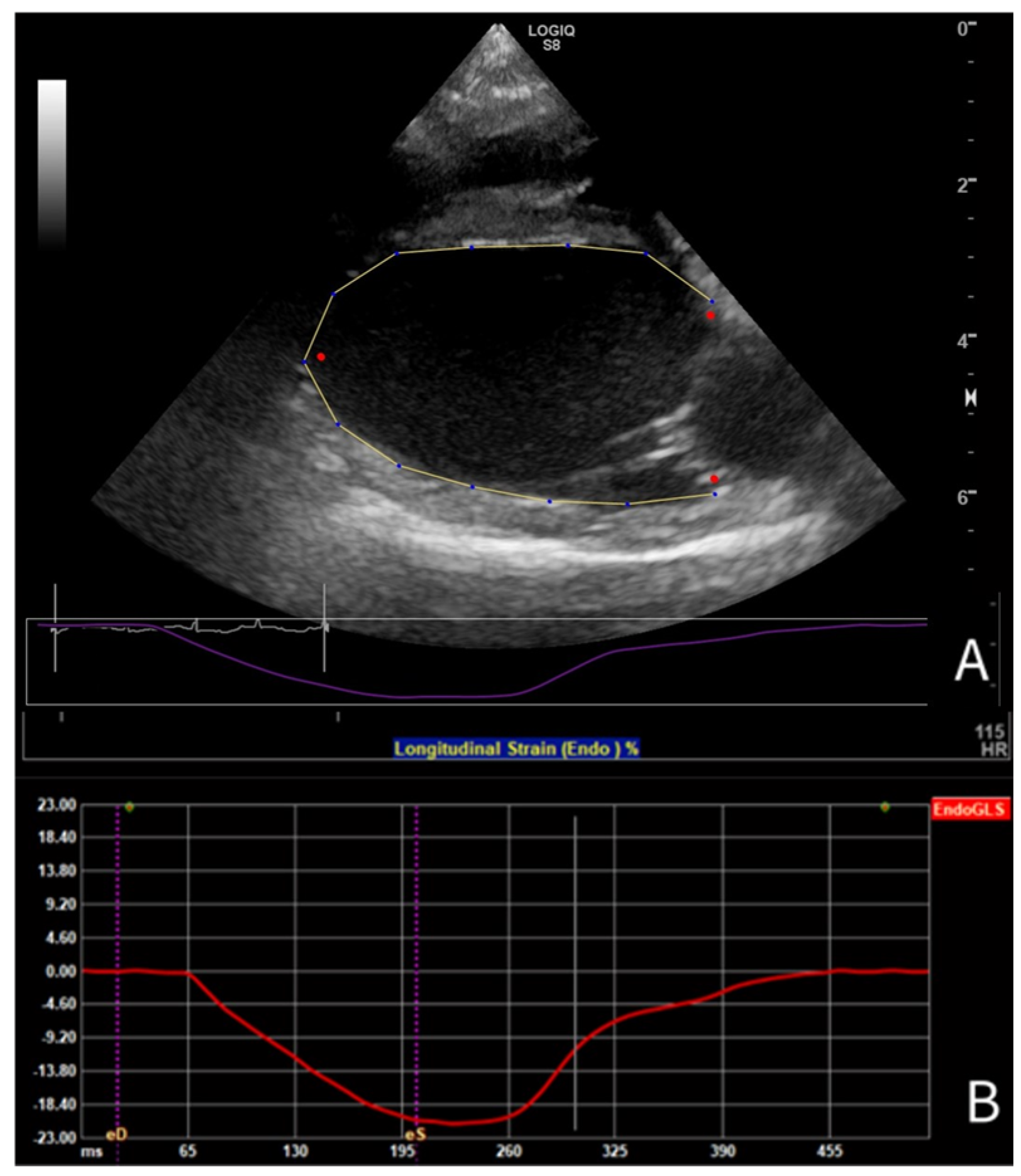 Animals 15 01524 g001