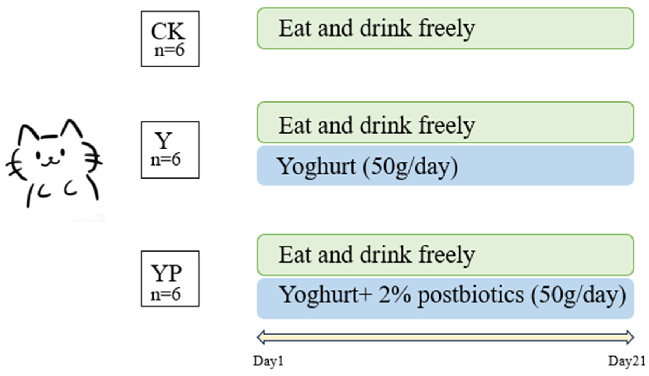 Animals 15 01531 g001