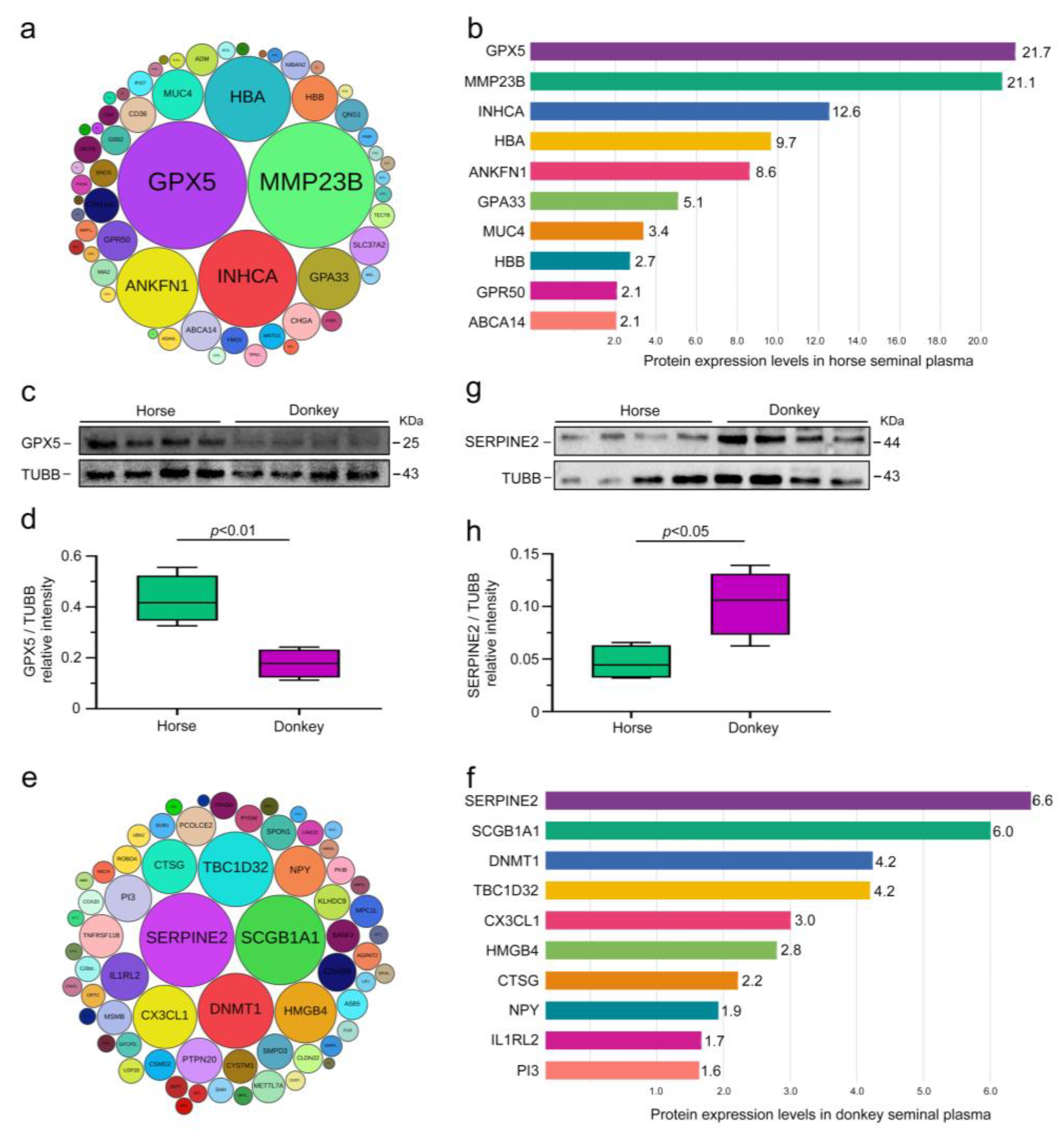 Animals 15 01532 g005