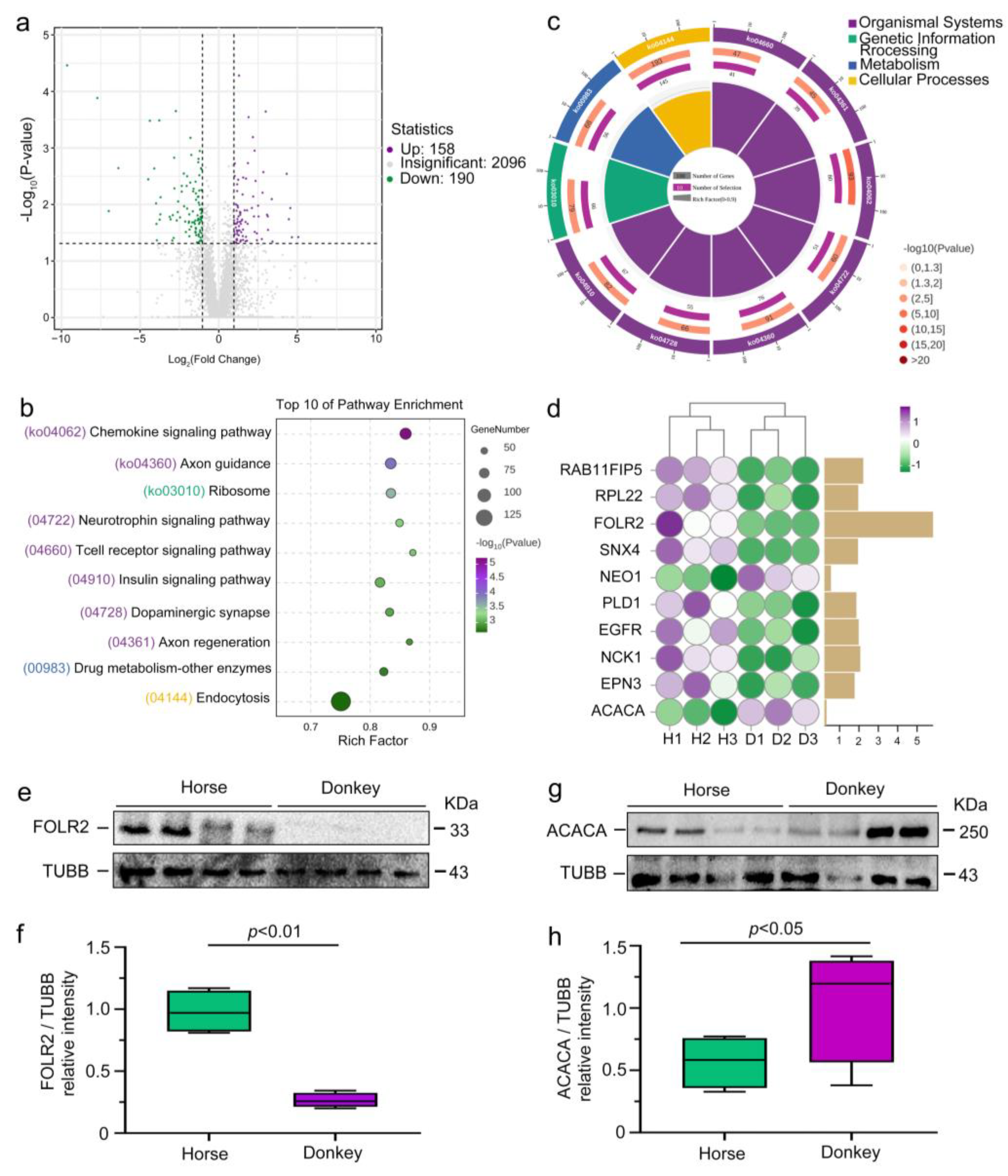 Animals 15 01532 g006