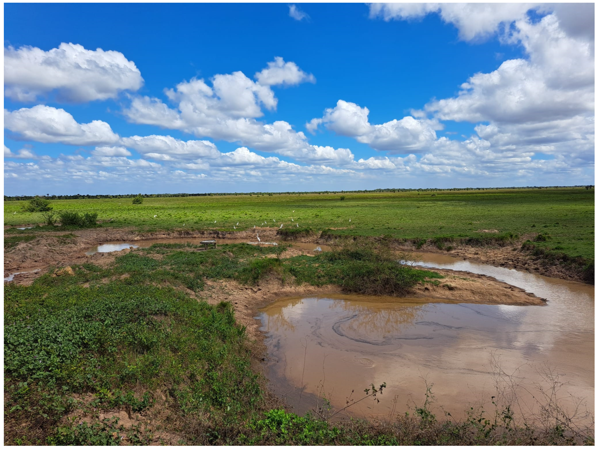 Animals 15 01538 g004