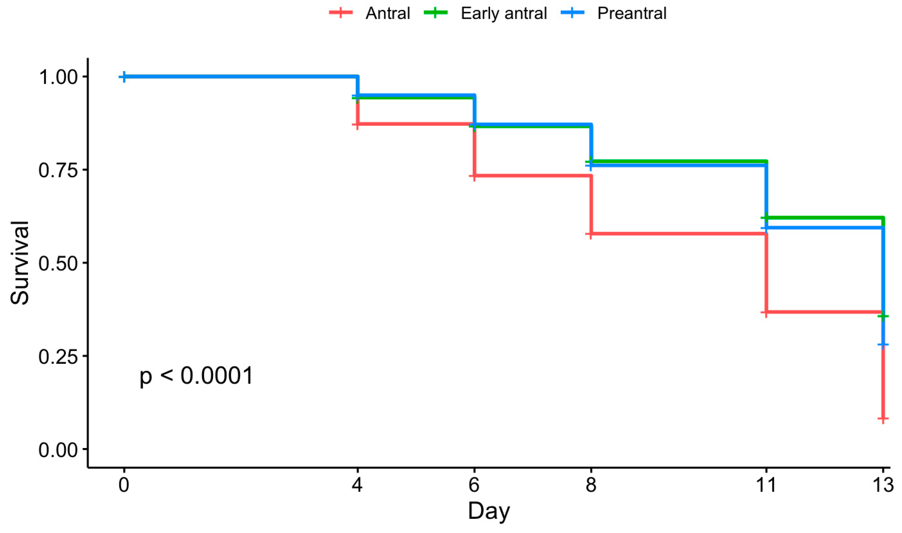 Animals 15 01539 g004