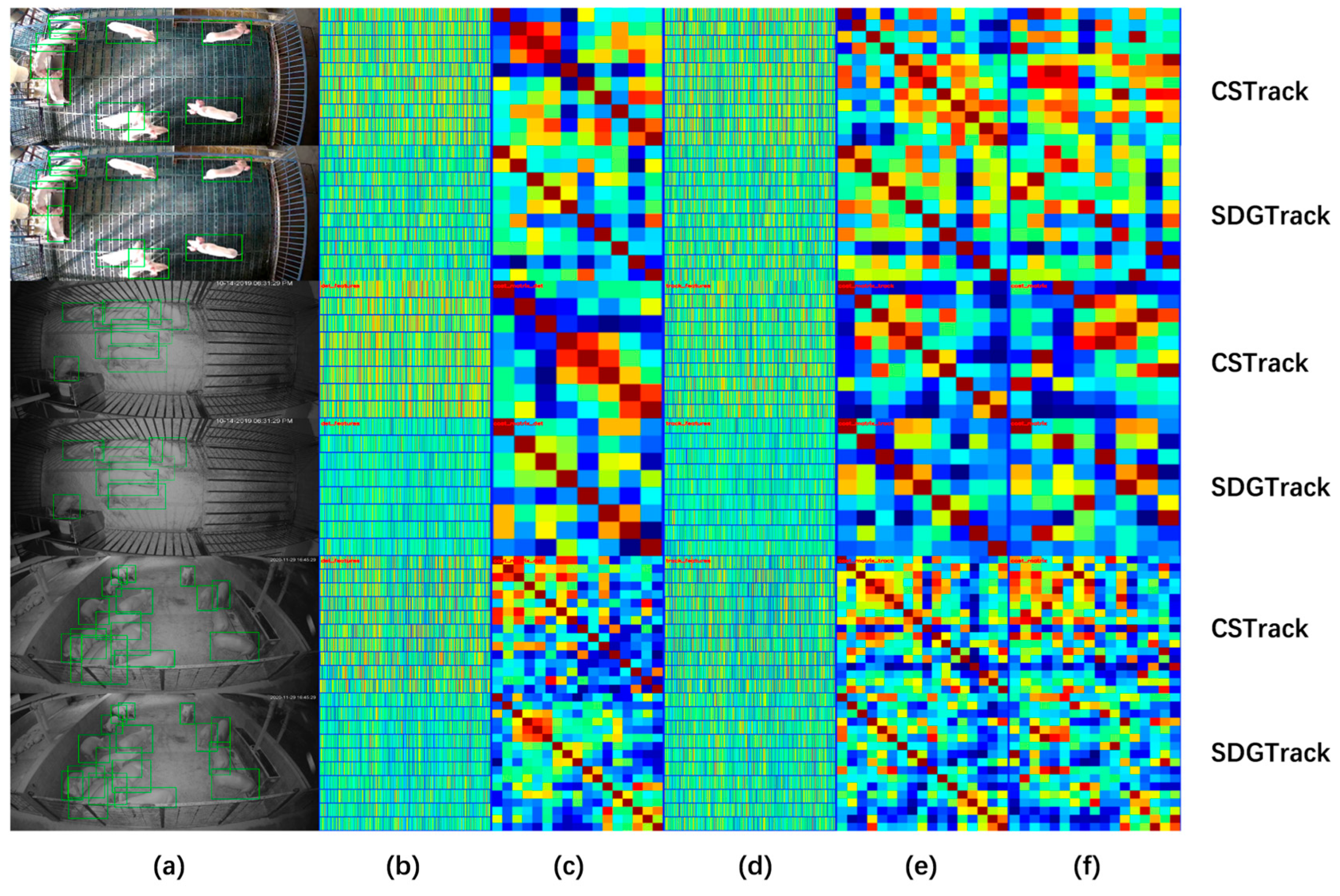 Animals 15 01543 g005