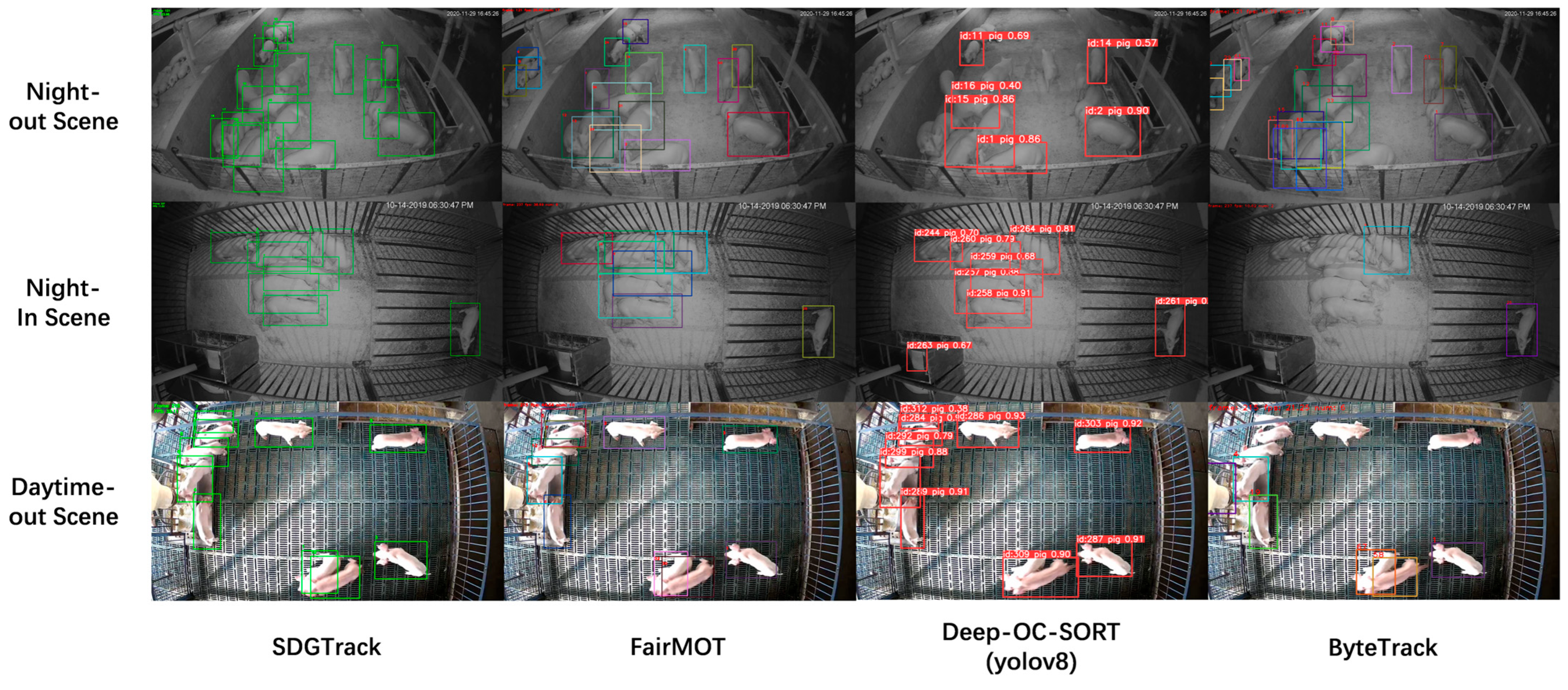 Animals 15 01543 g006