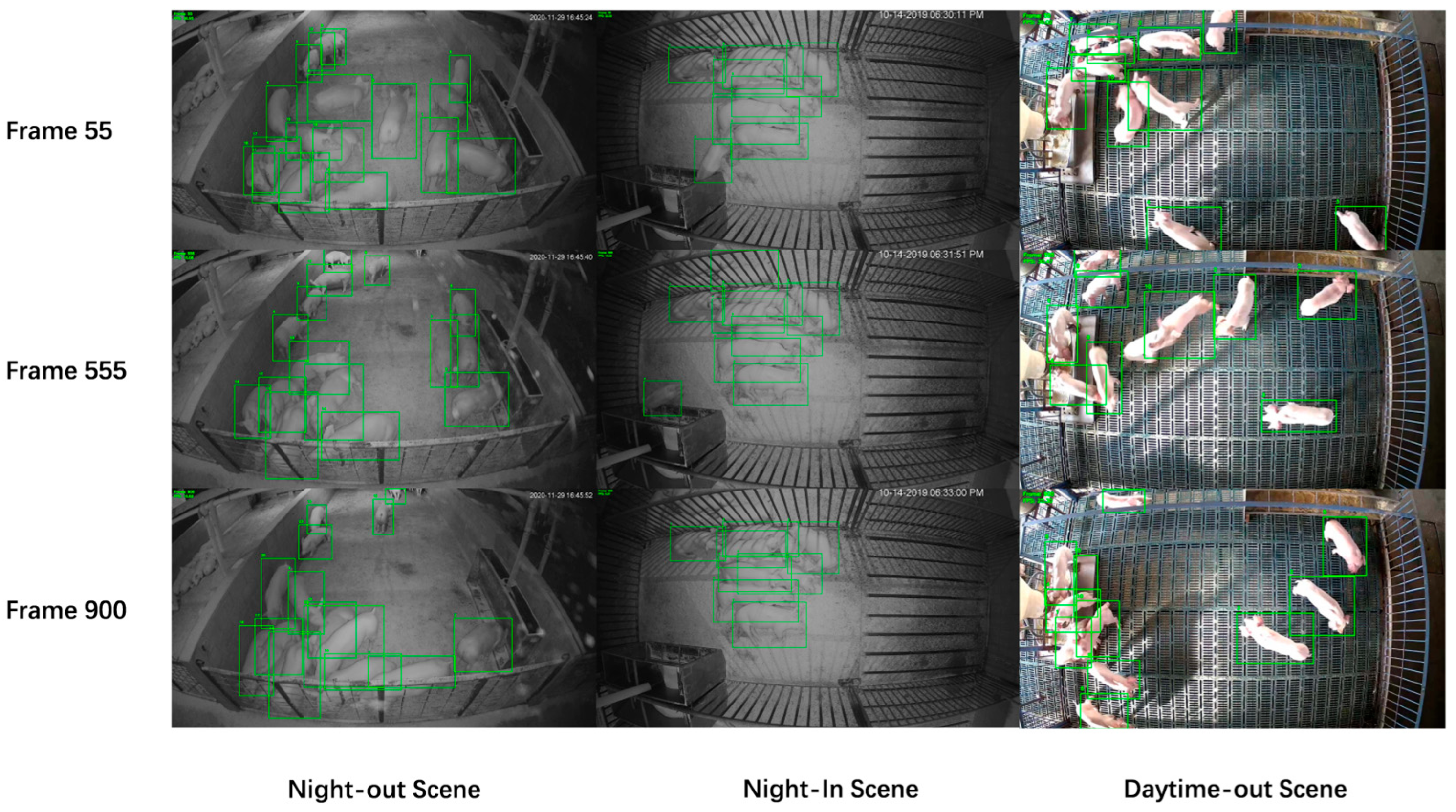 Animals 15 01543 g007
