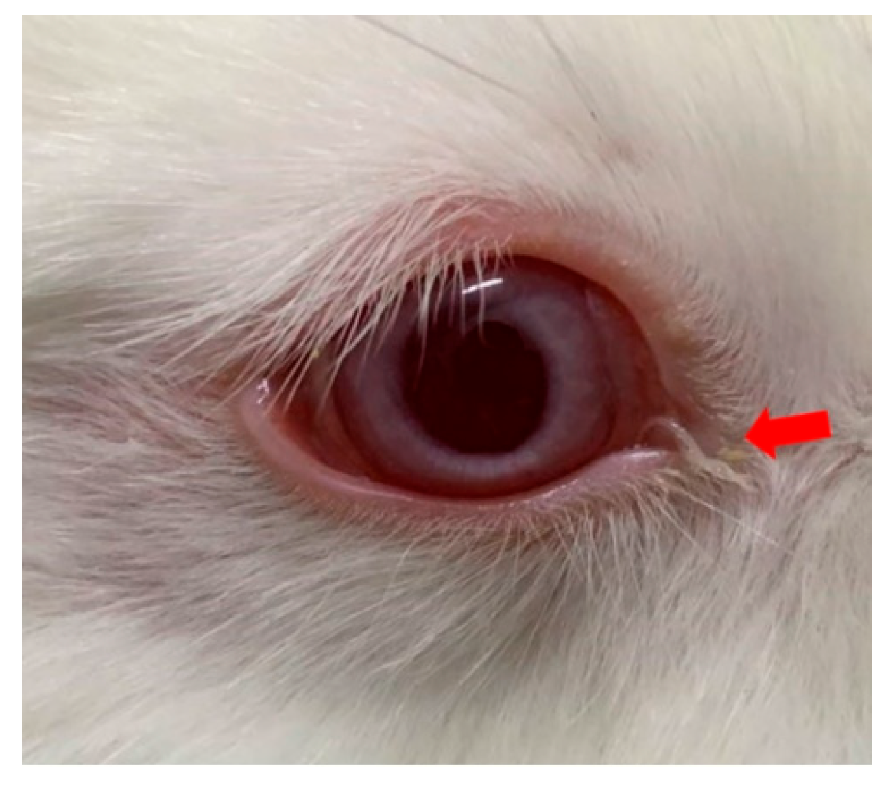 Animals 15 01551 g006