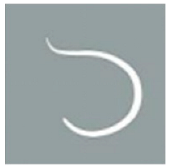 Animals 15 01551 i003