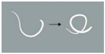 Animals 15 01551 i007