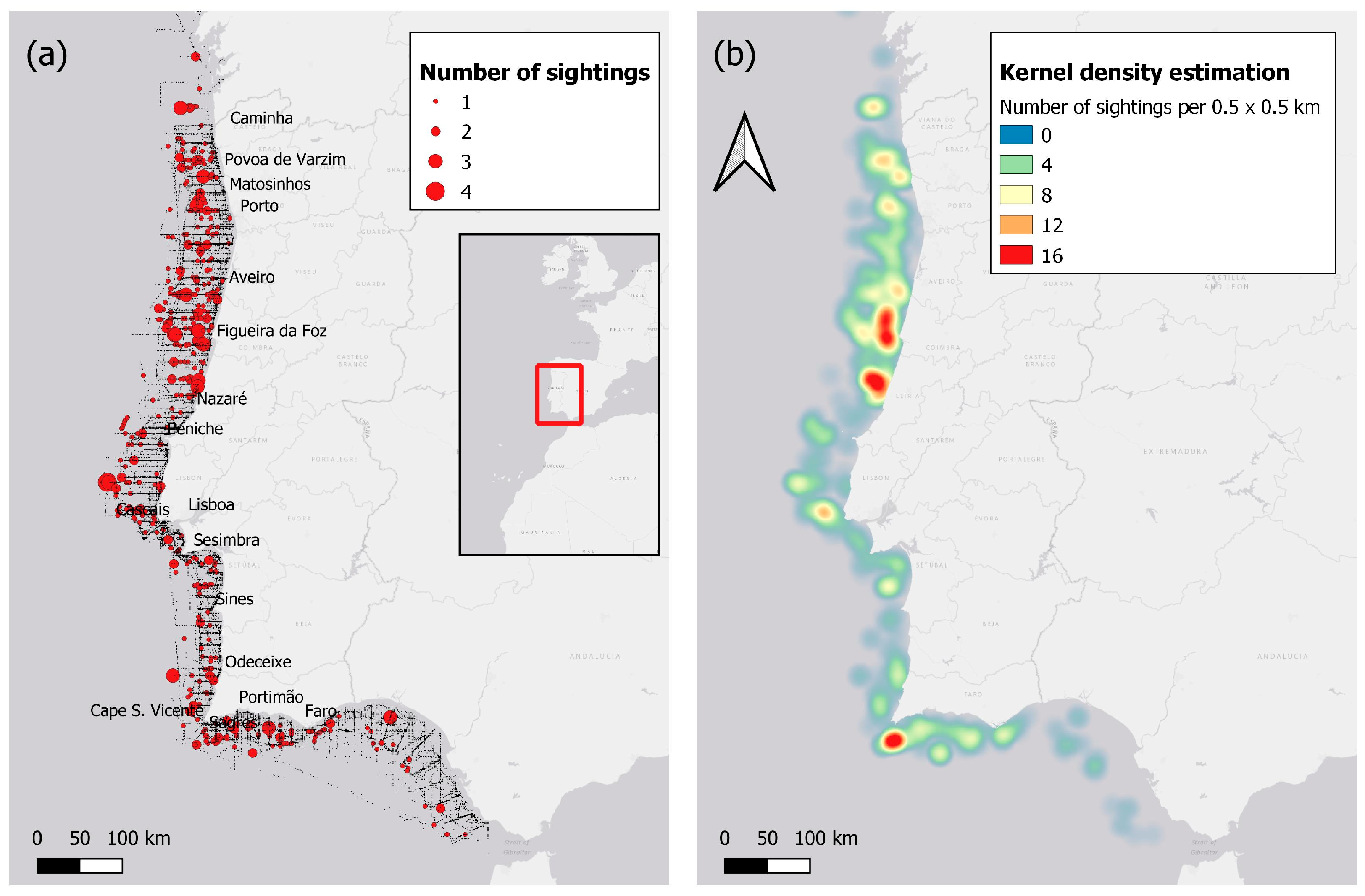 Animals 15 01552 g001