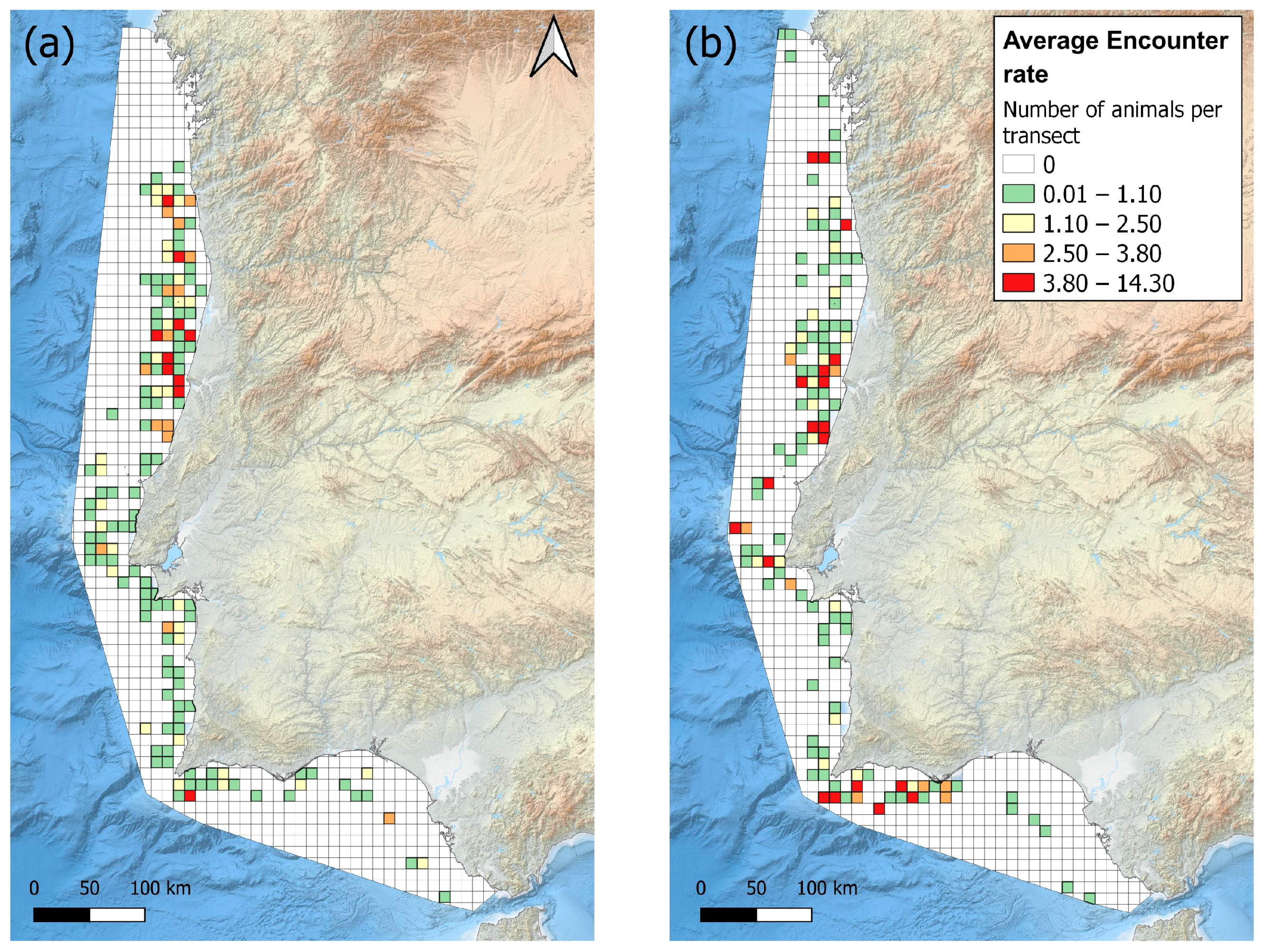 Animals 15 01552 g003