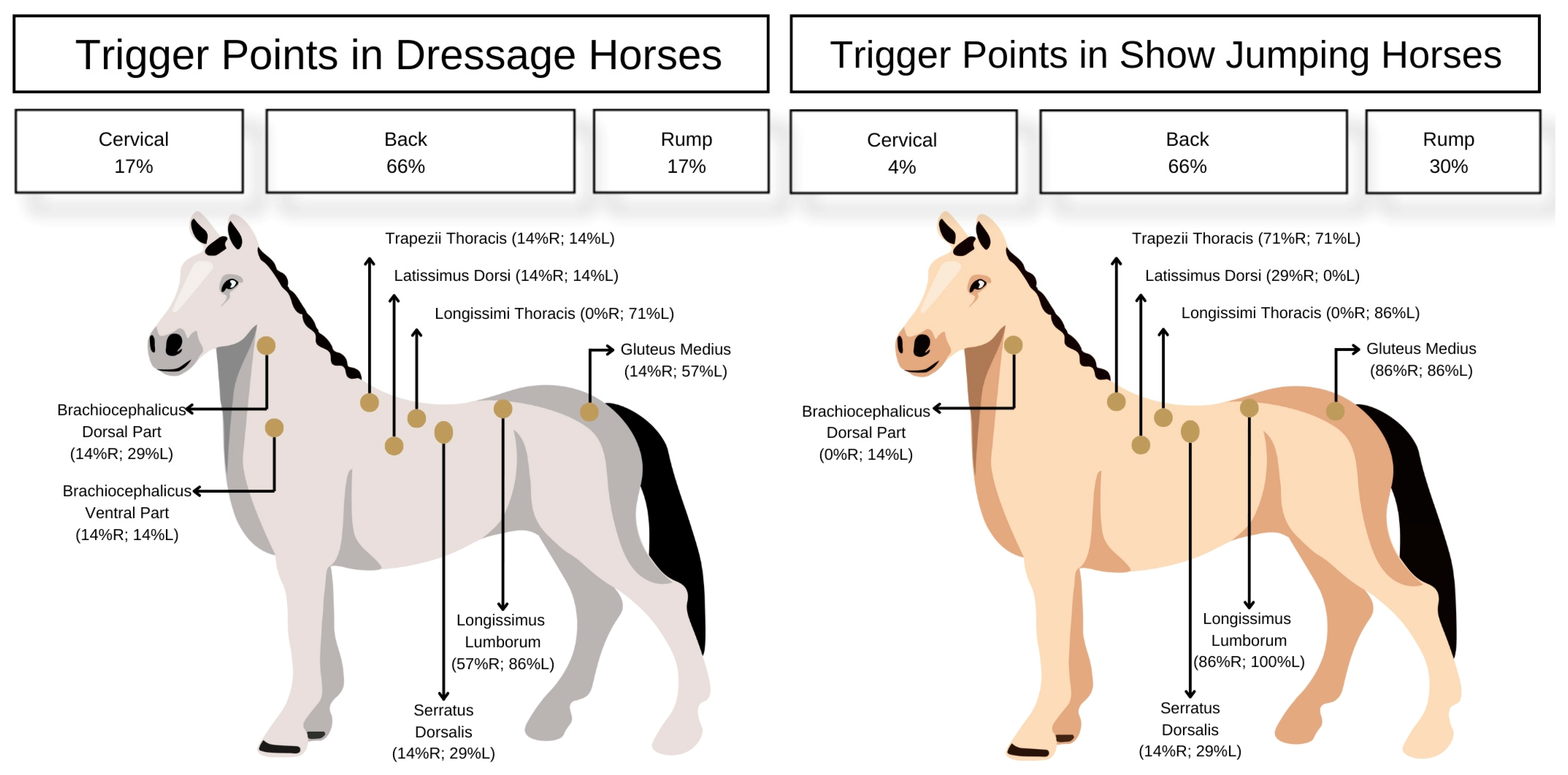 Animals 15 01558 g001