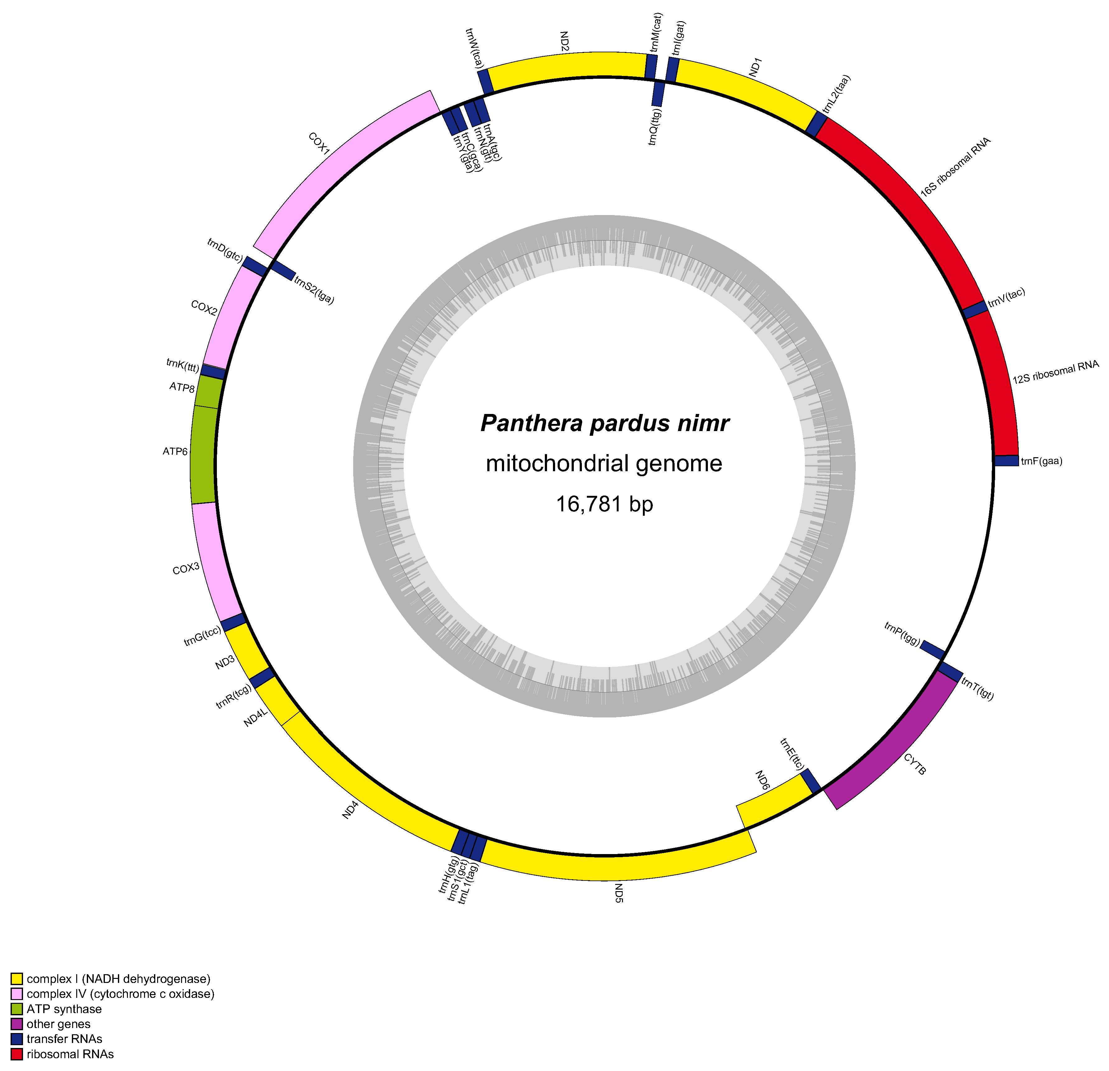 Animals 15 01562 g003