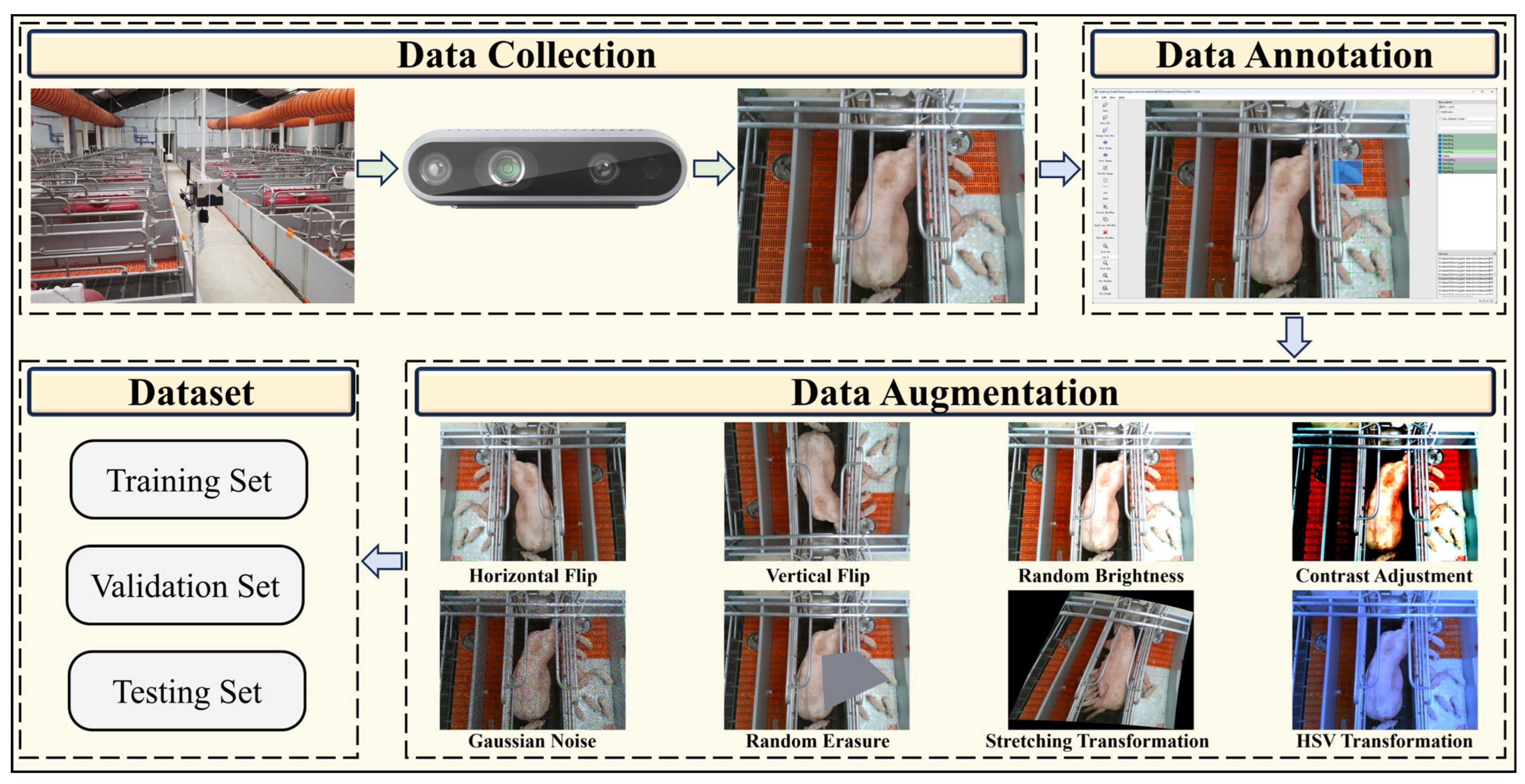 Collaborative Optimization of Model Pruning and Knowledge