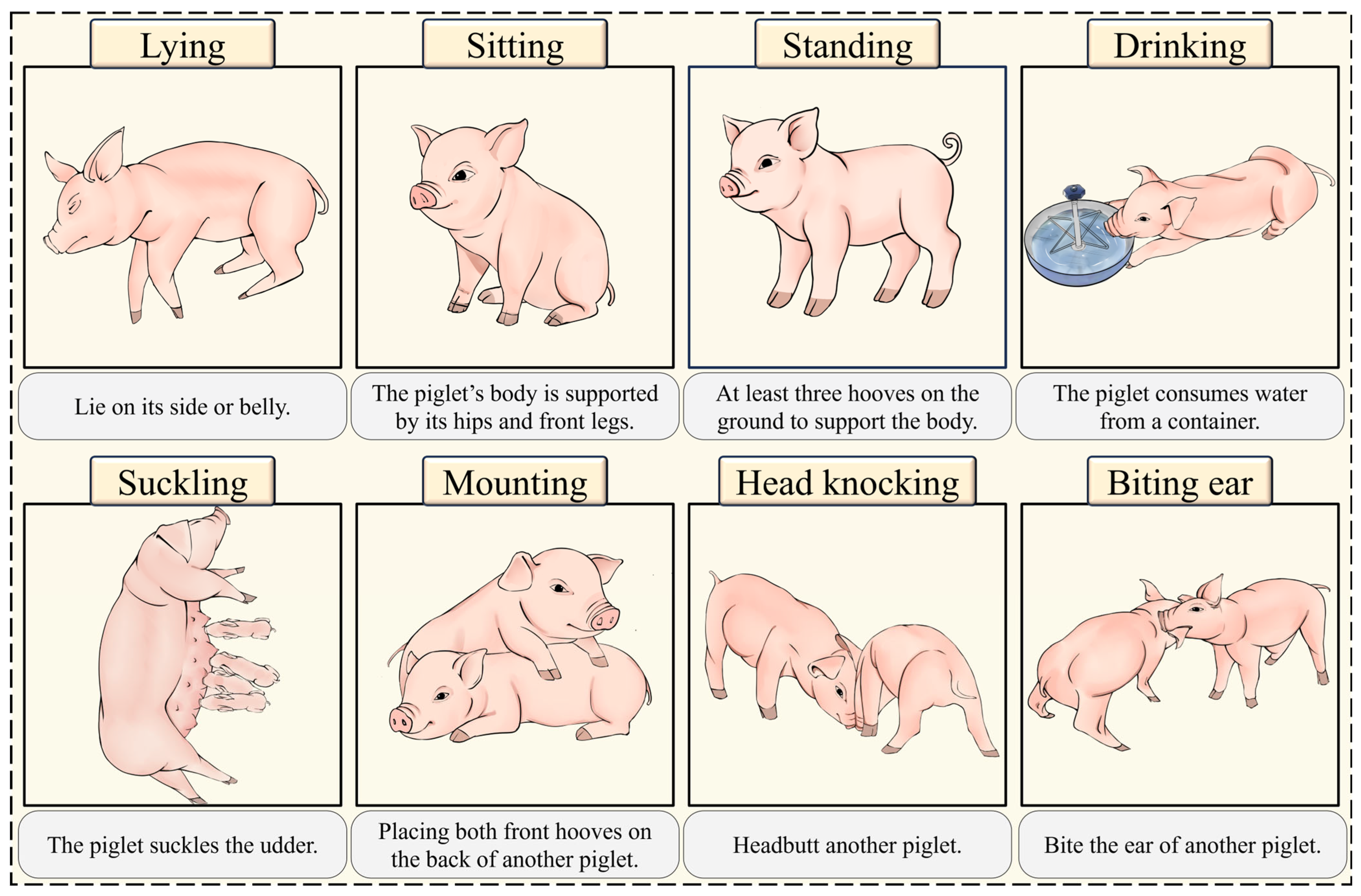 Animals 15 01563 g002