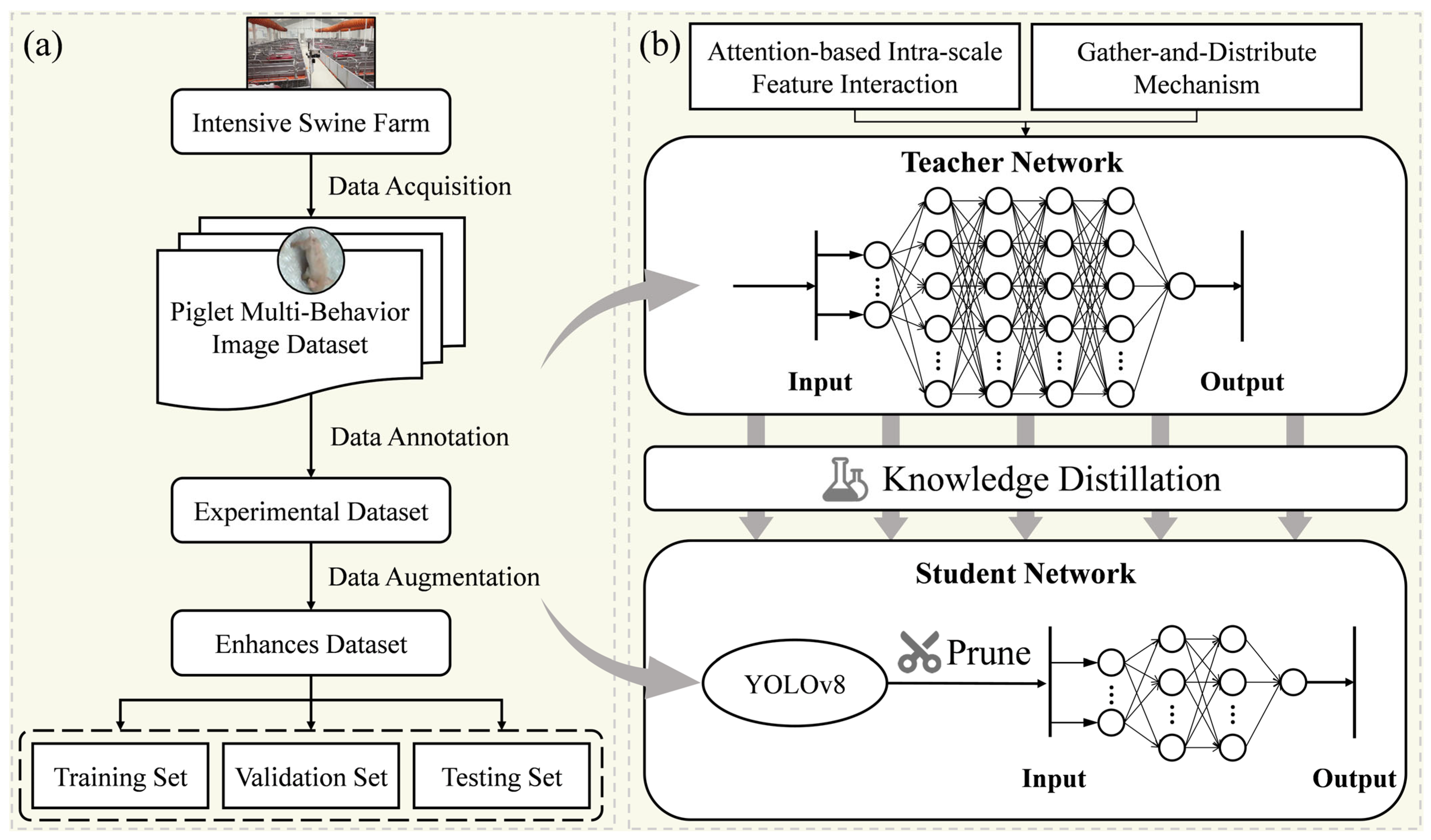 Animals 15 01563 g004