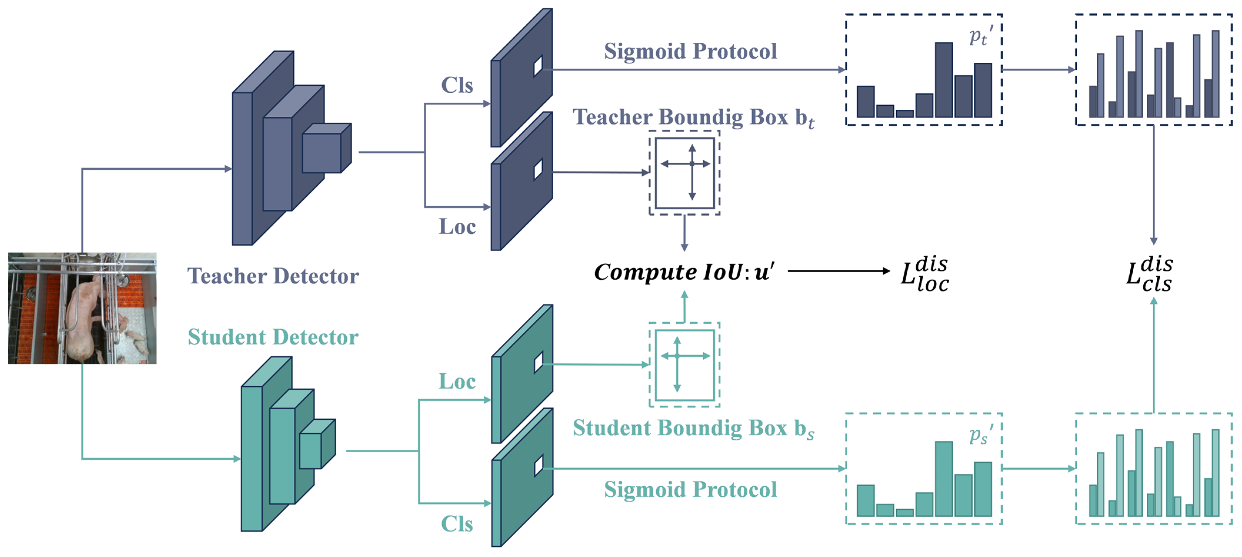 Animals 15 01563 g011