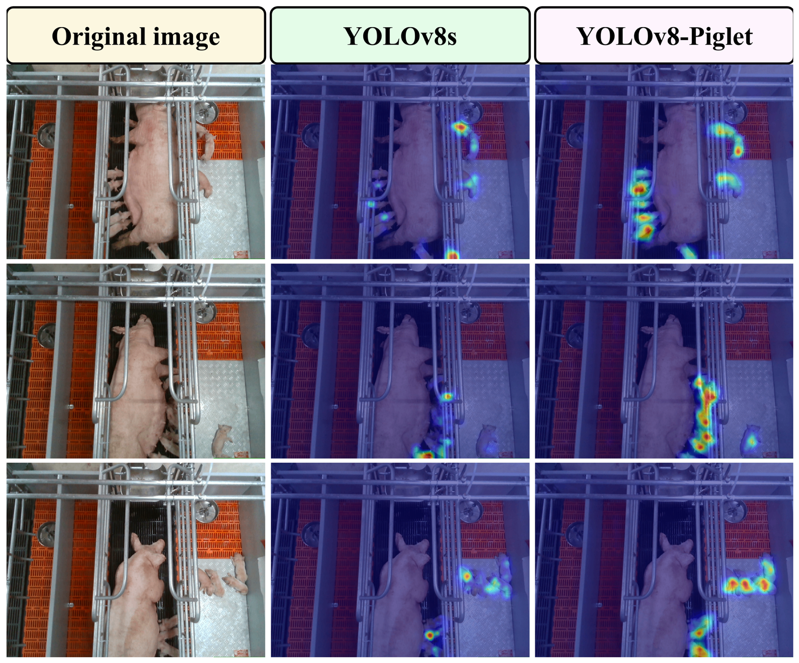 Animals 15 01563 g015