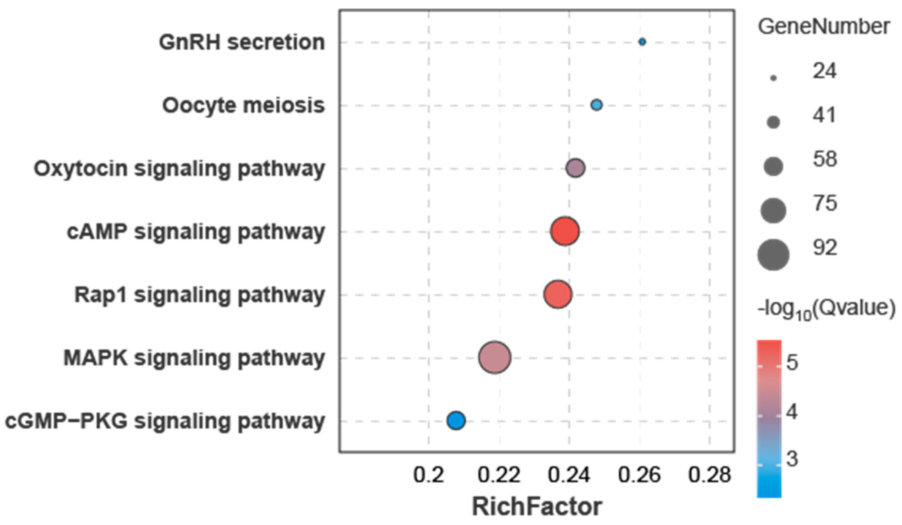 Animals 15 01564 g005