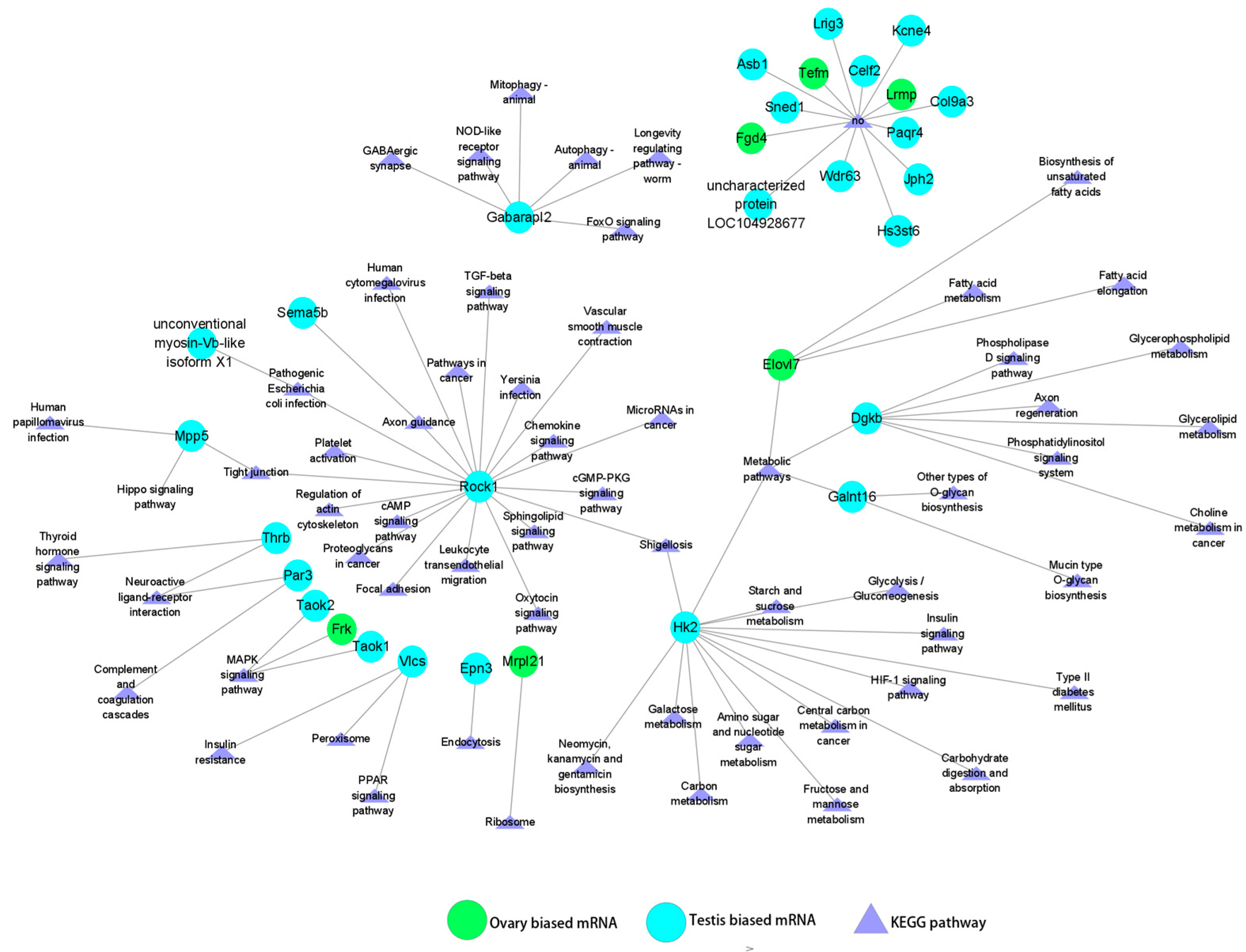 Animals 15 01564 g006