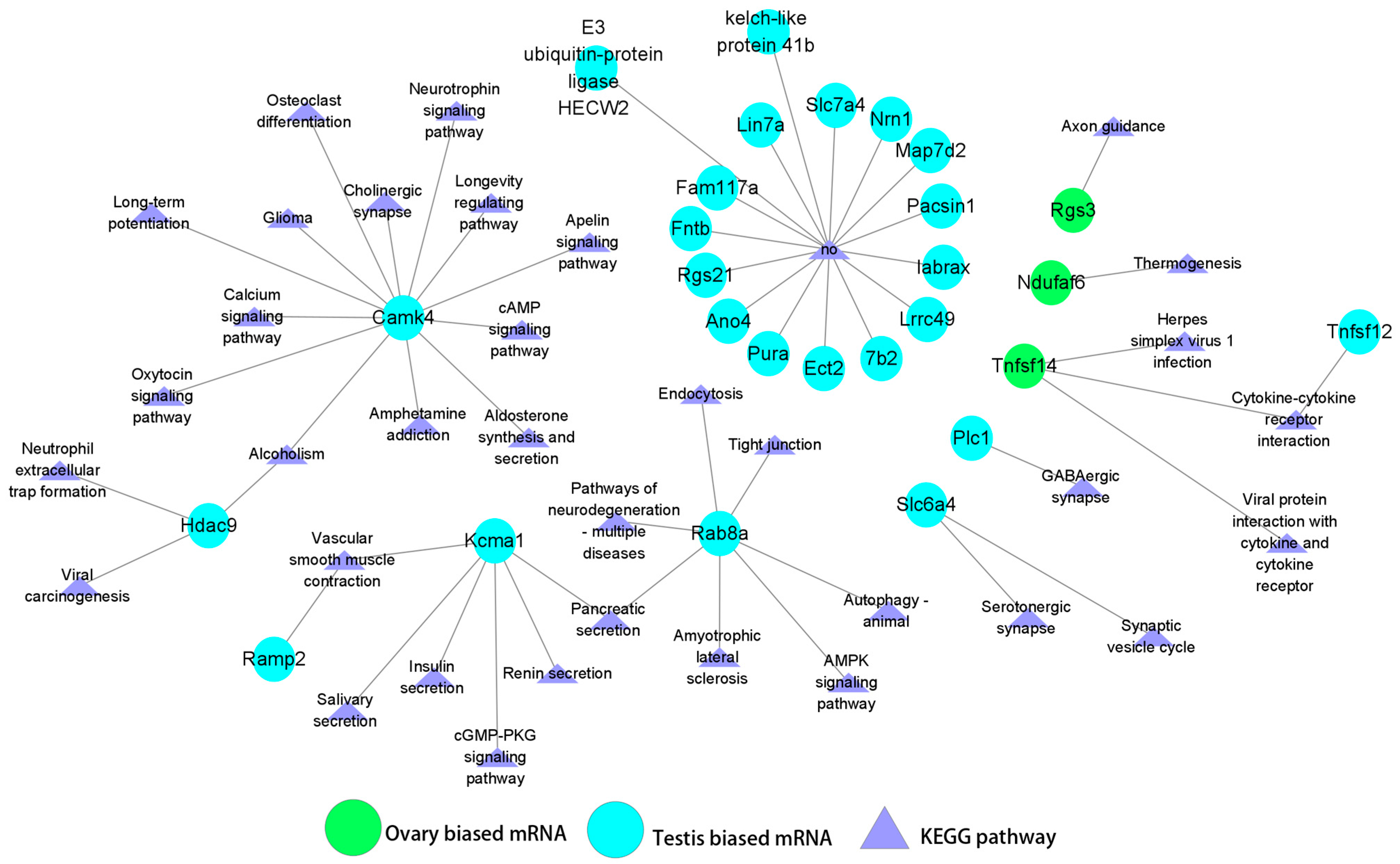 Animals 15 01564 g007