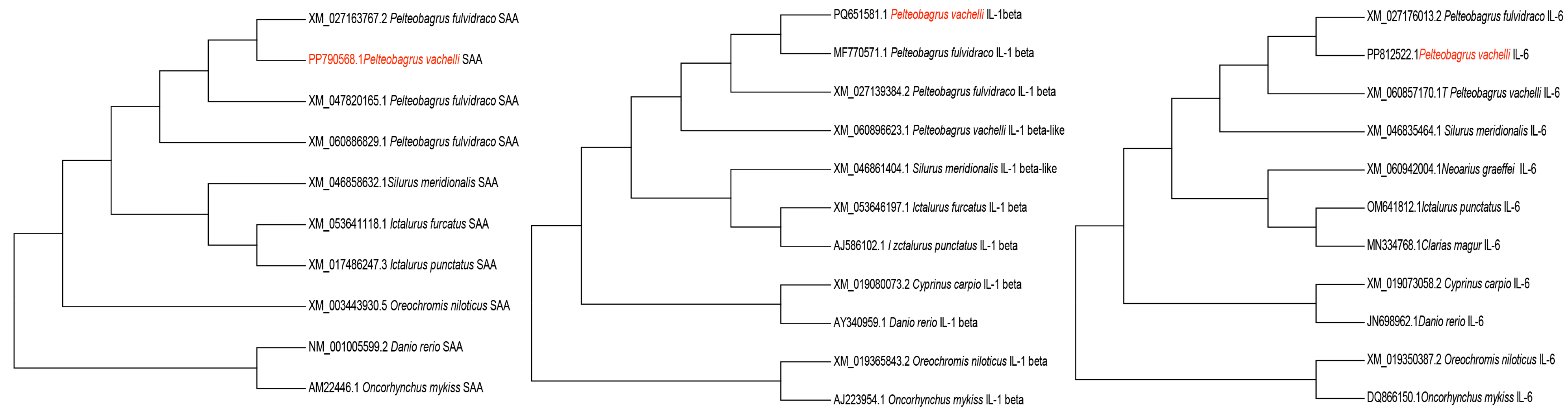 Animals 15 01577 g002