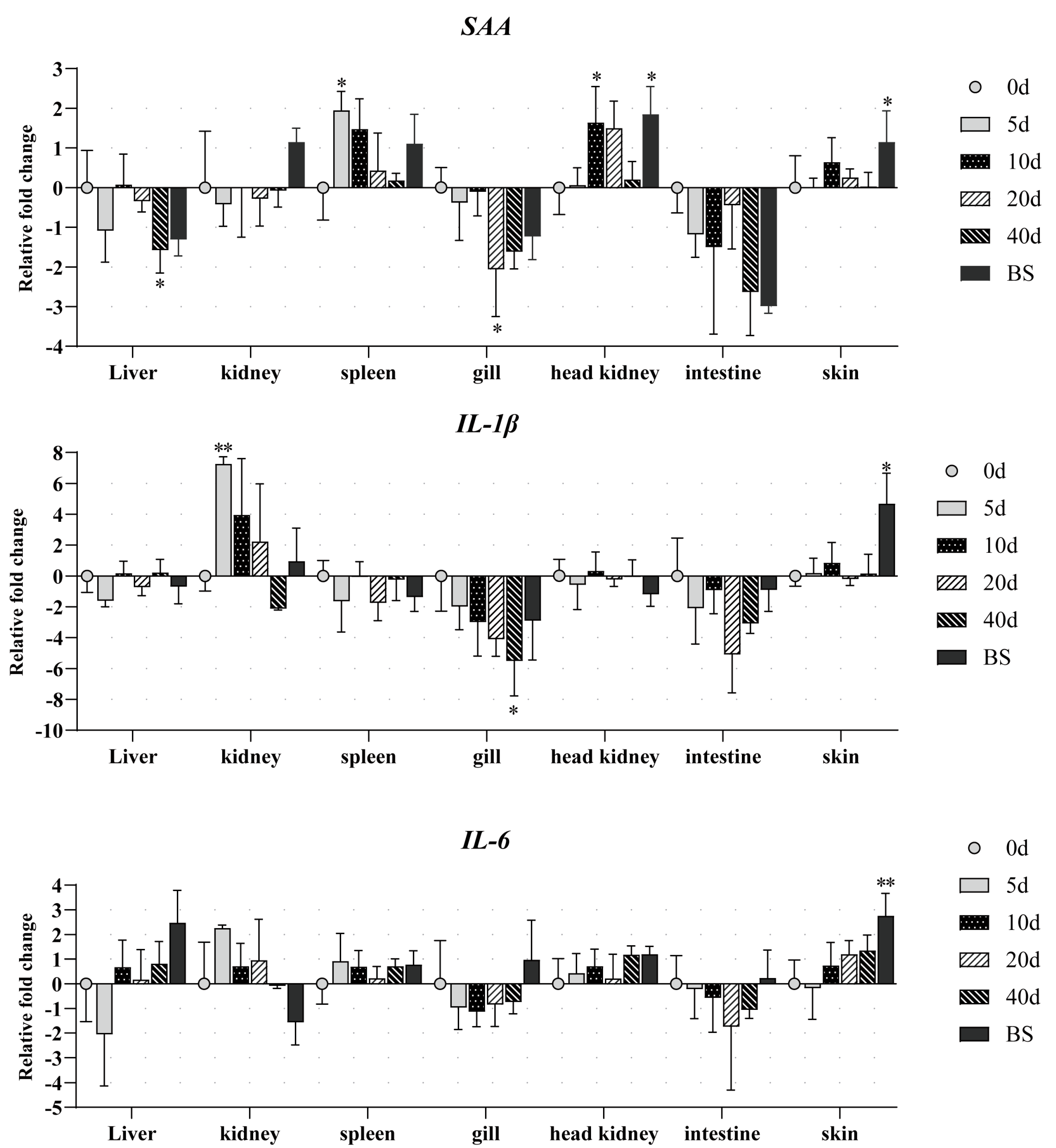 Animals 15 01577 g005