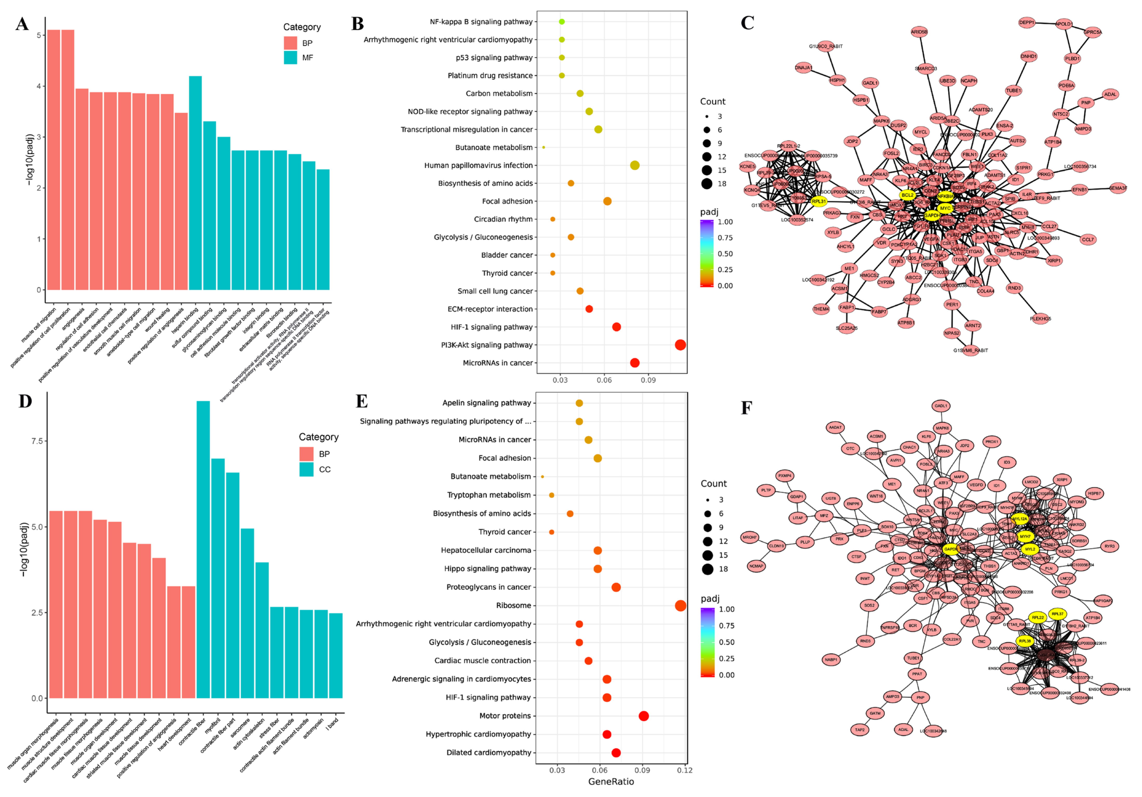 Animals 15 01585 g004