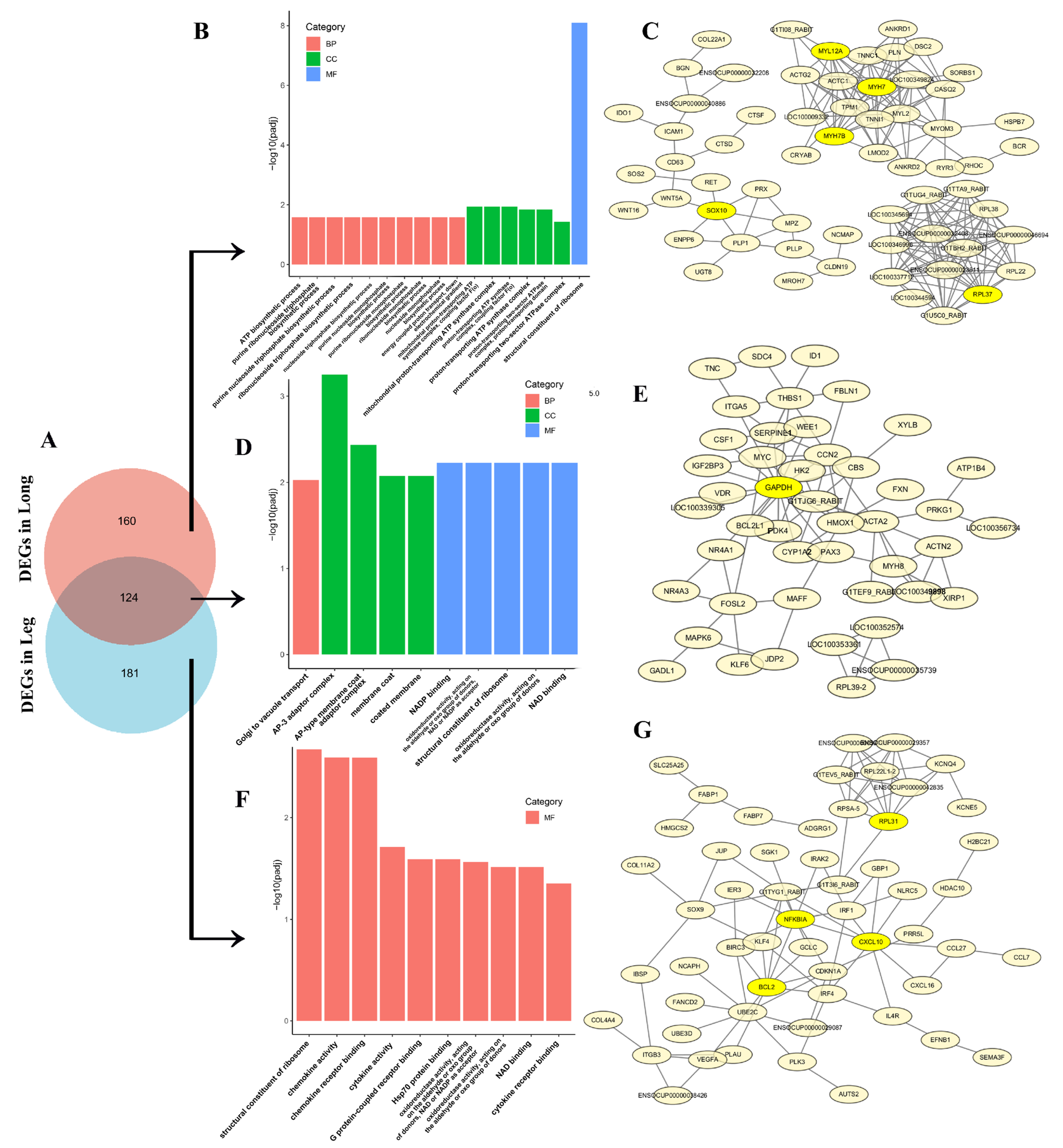 Animals 15 01585 g005