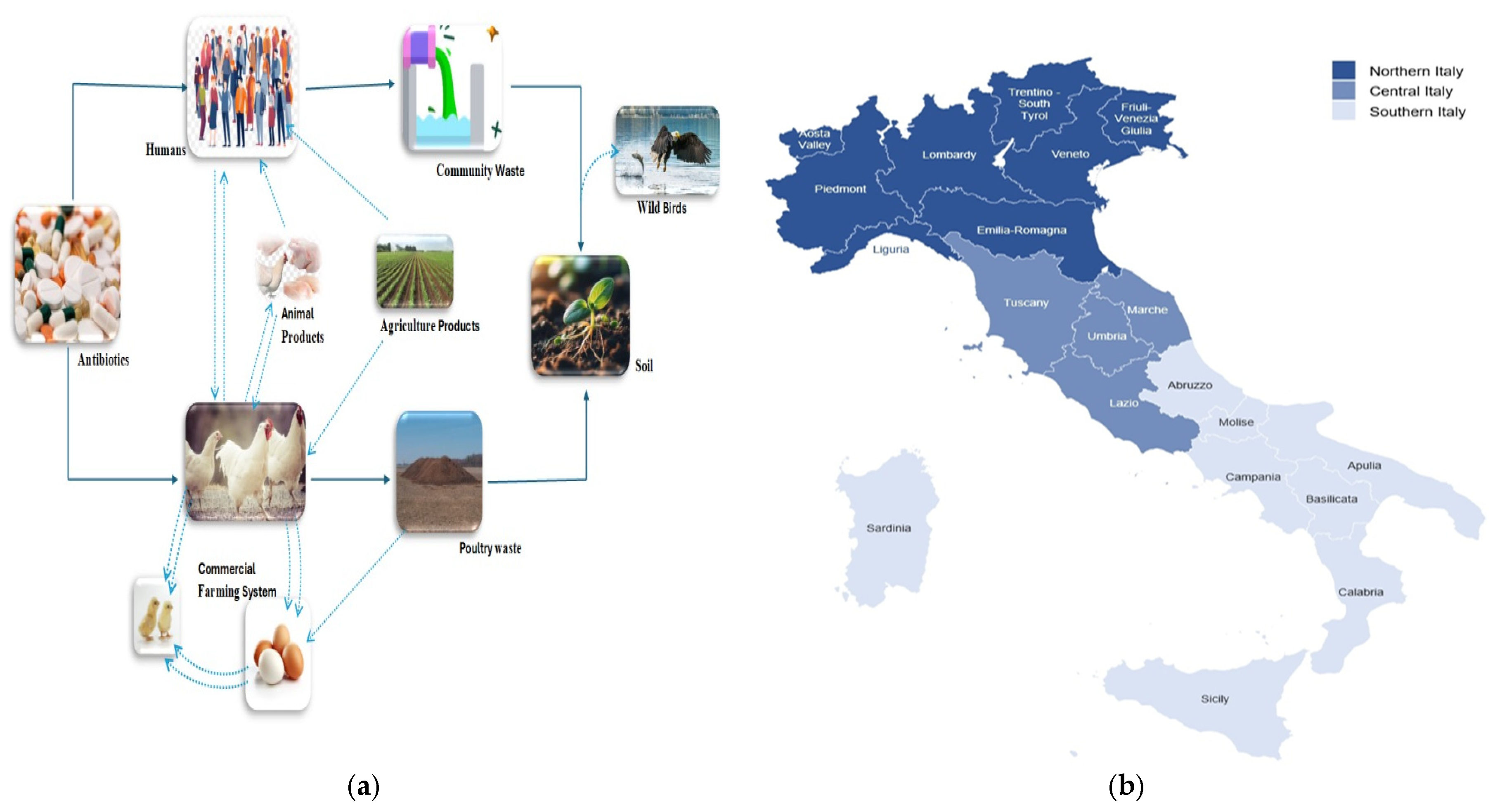 Animals 15 01598 g004