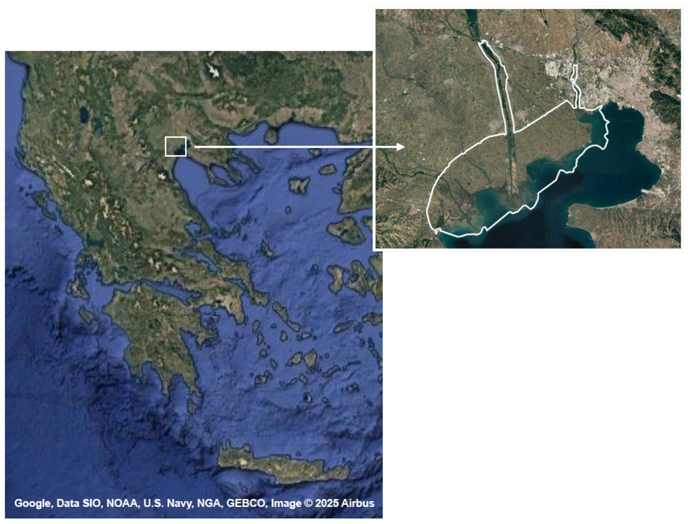 Animals 15 01601 g001