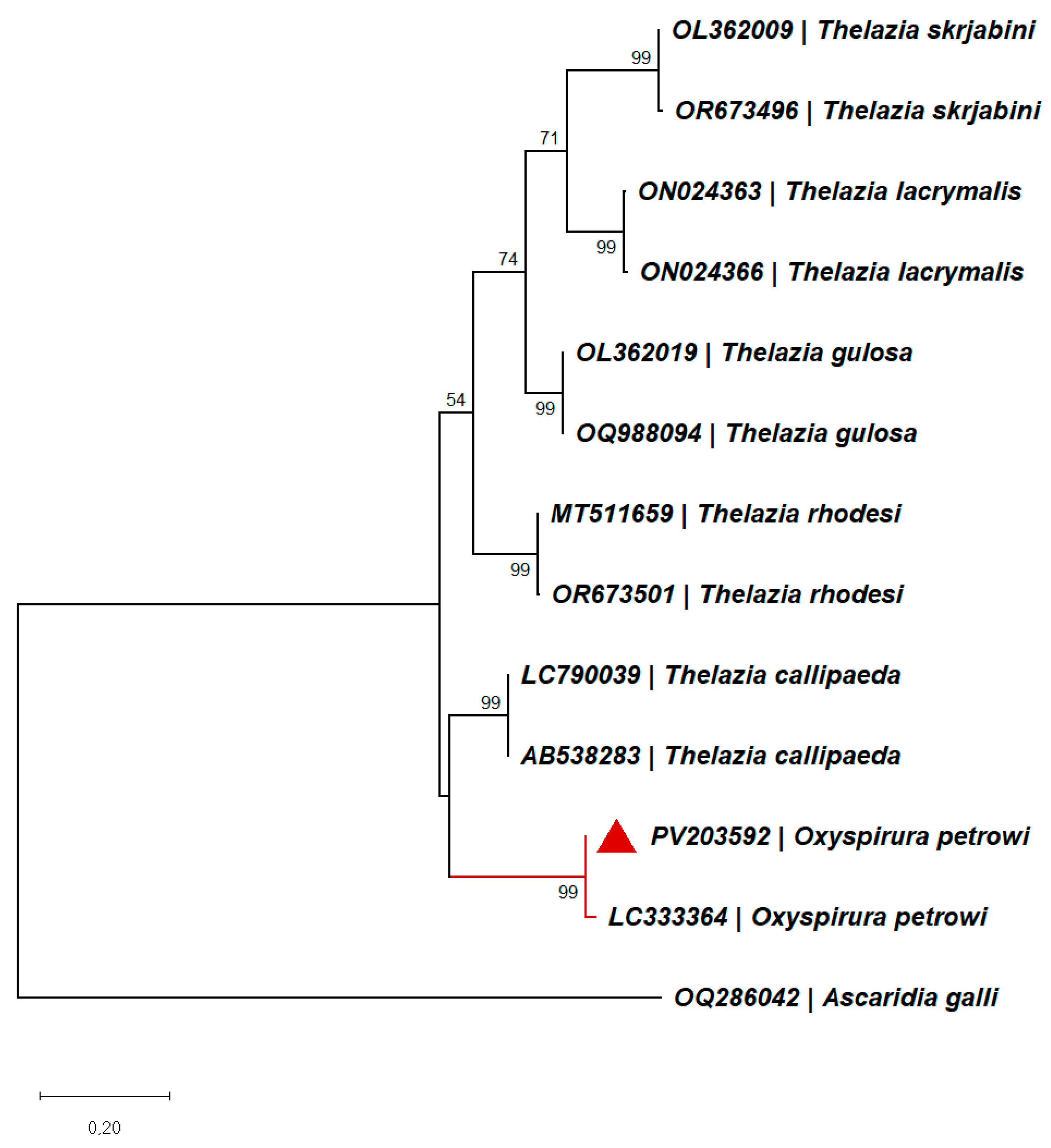Animals 15 01606 g003