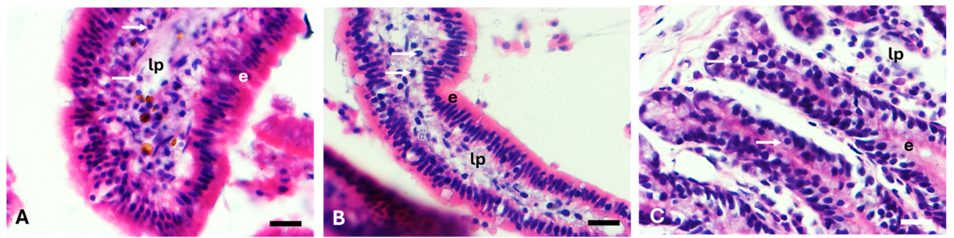 Animals 15 01609 g001